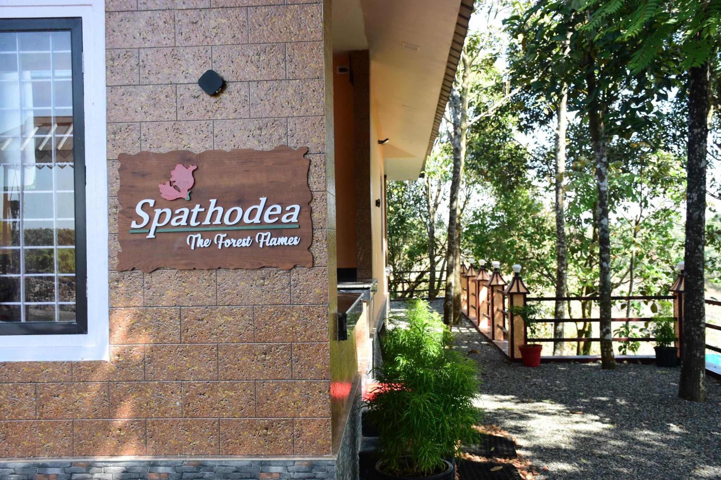 SPATHODEA