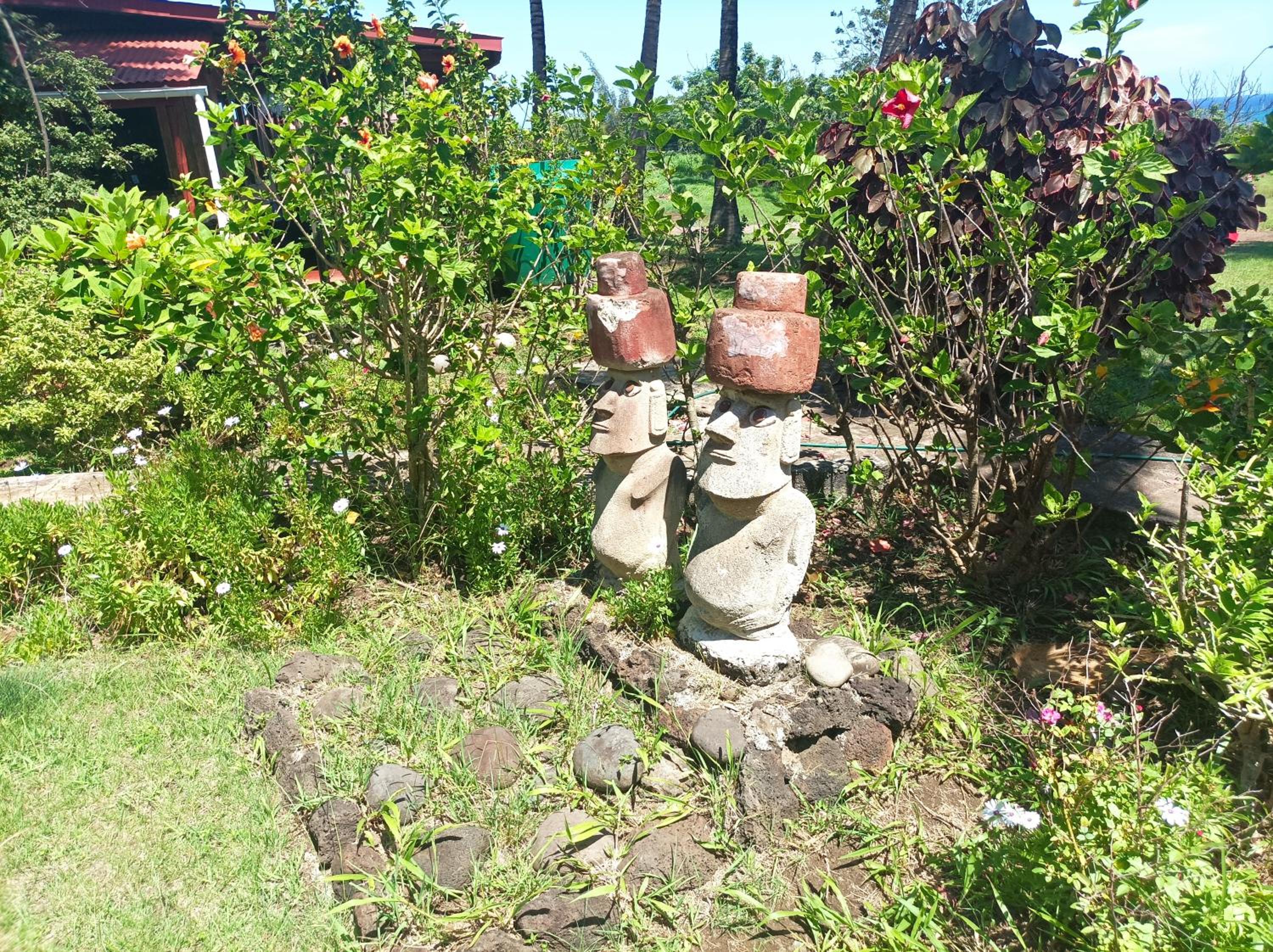 Photo 23