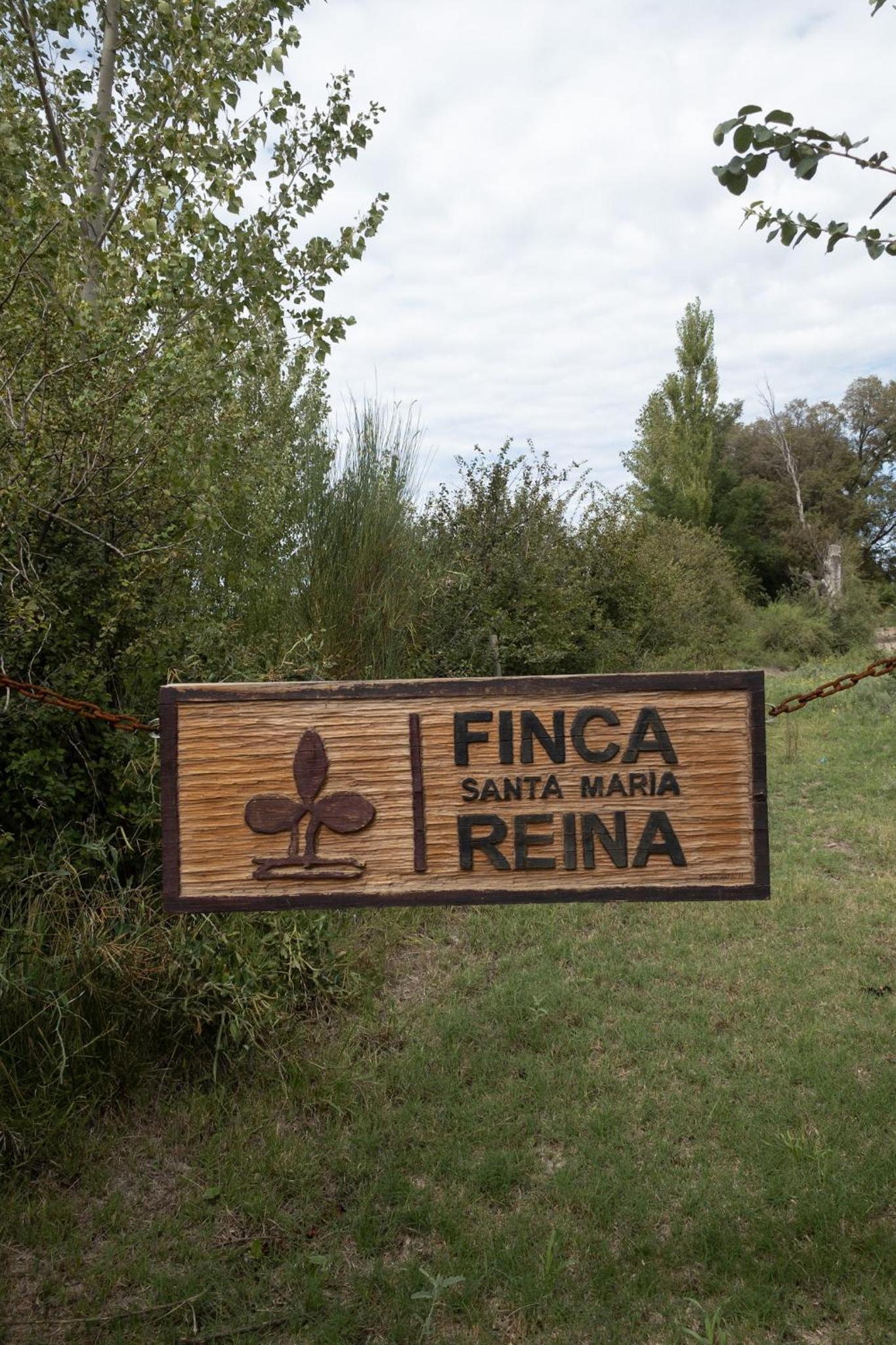SANTA MARIA REINA