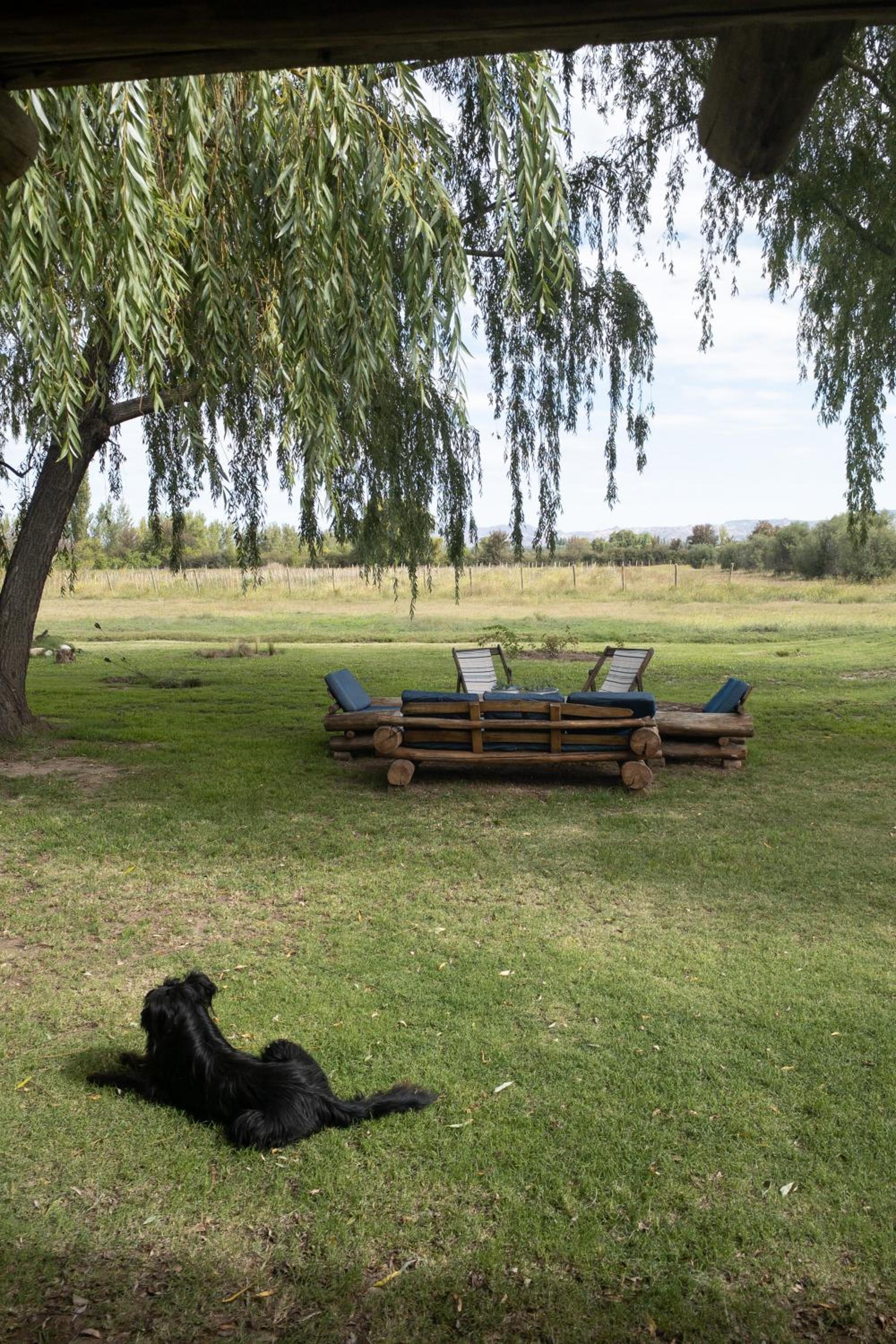 SANTA MARIA REINA