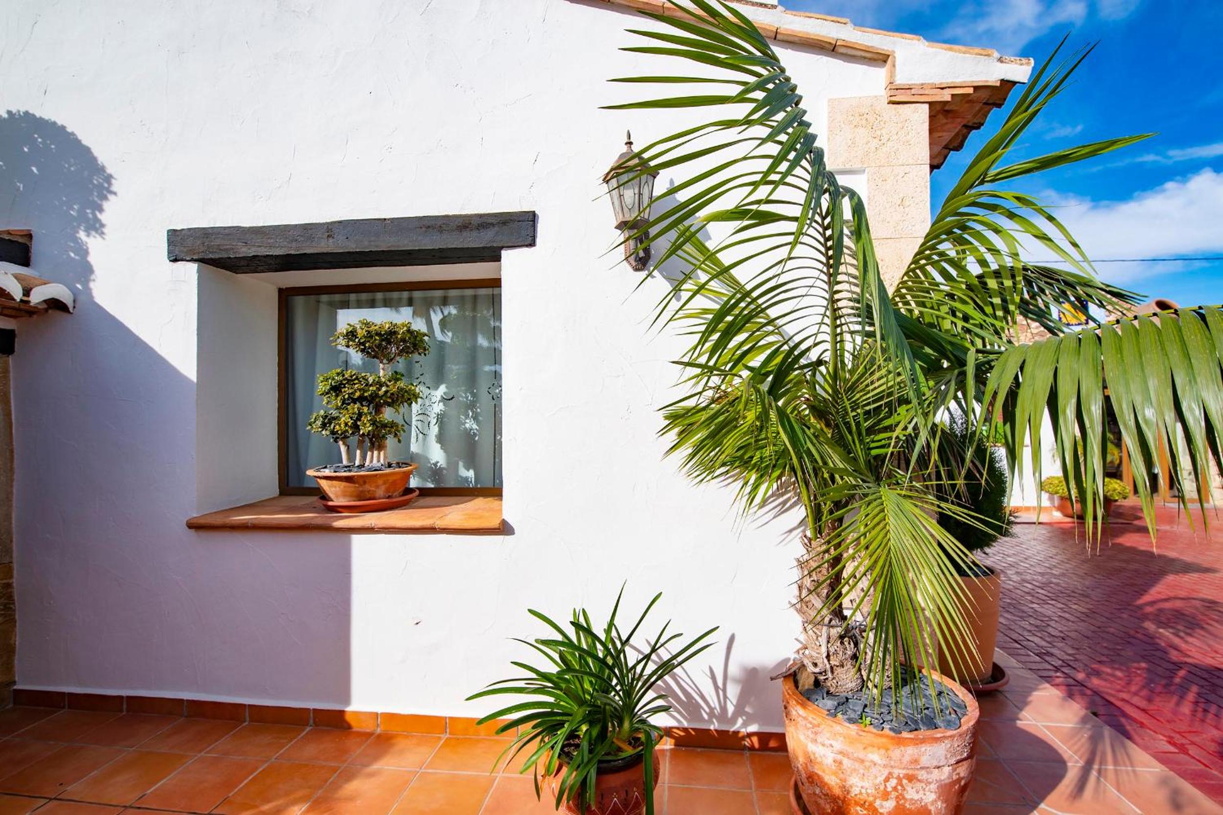 Casa Palmera