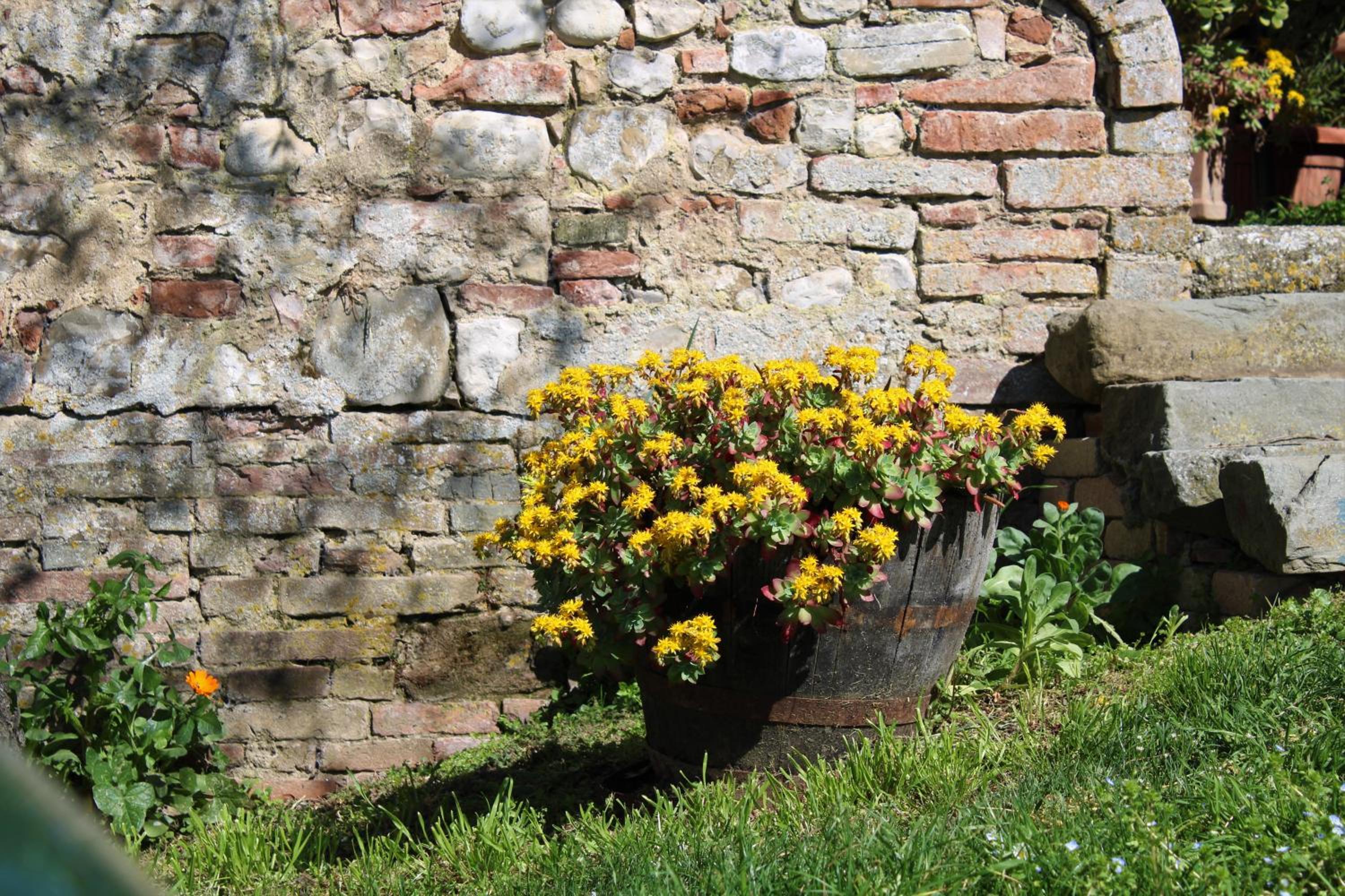 Podere Casato