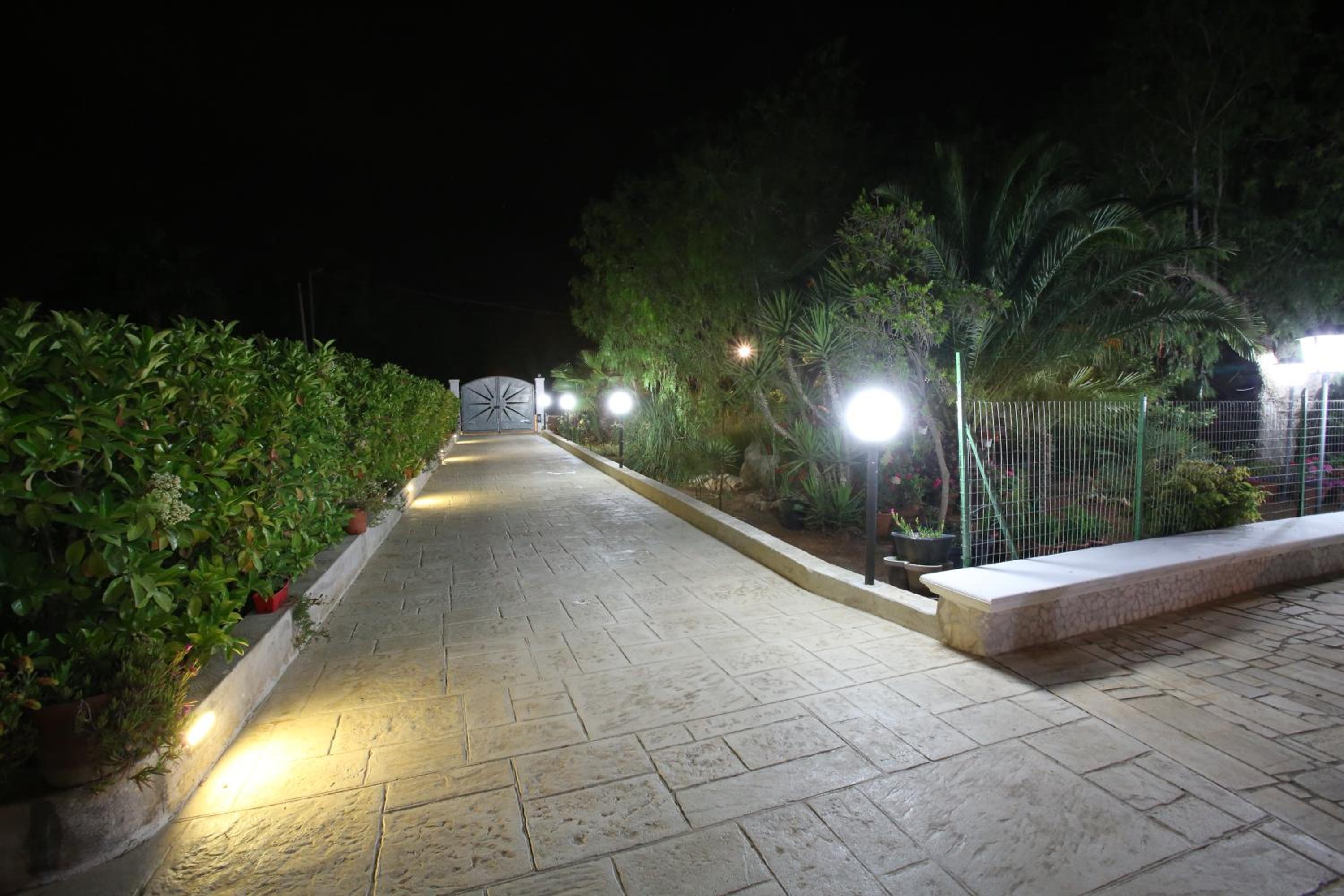 Photo 6