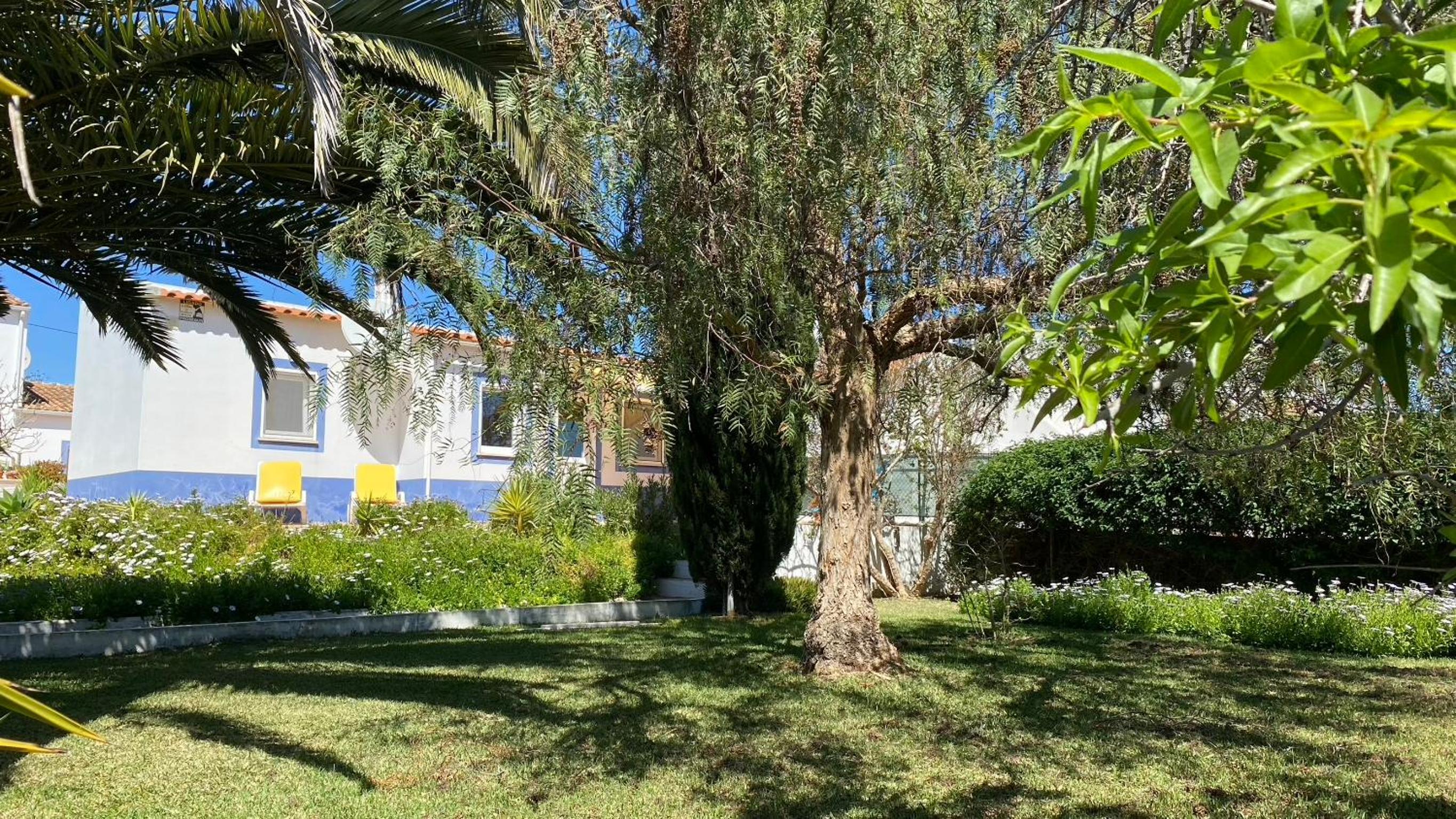 Casa Azul Beach and Peaceful Garden Oasis view 4