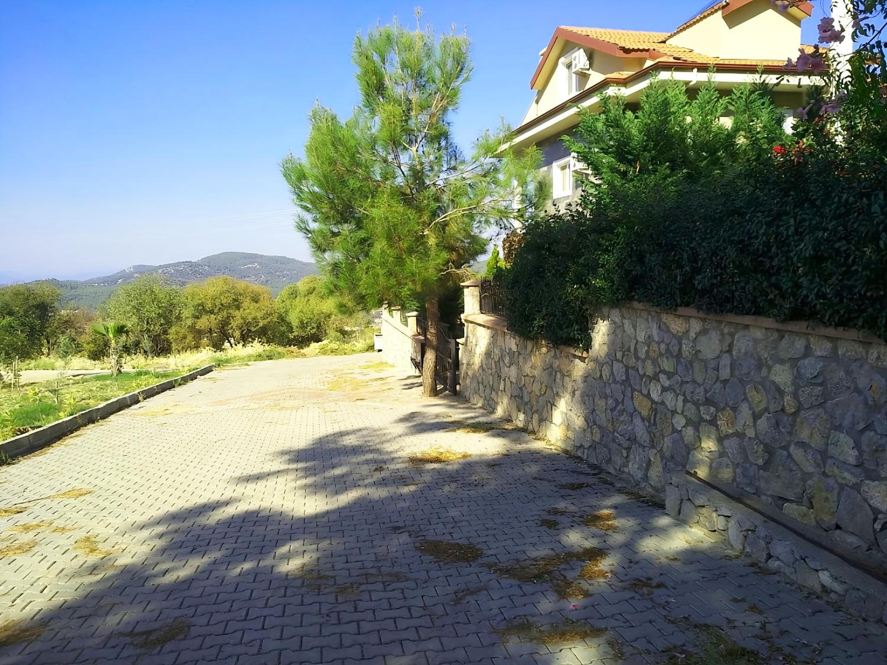Photo 11