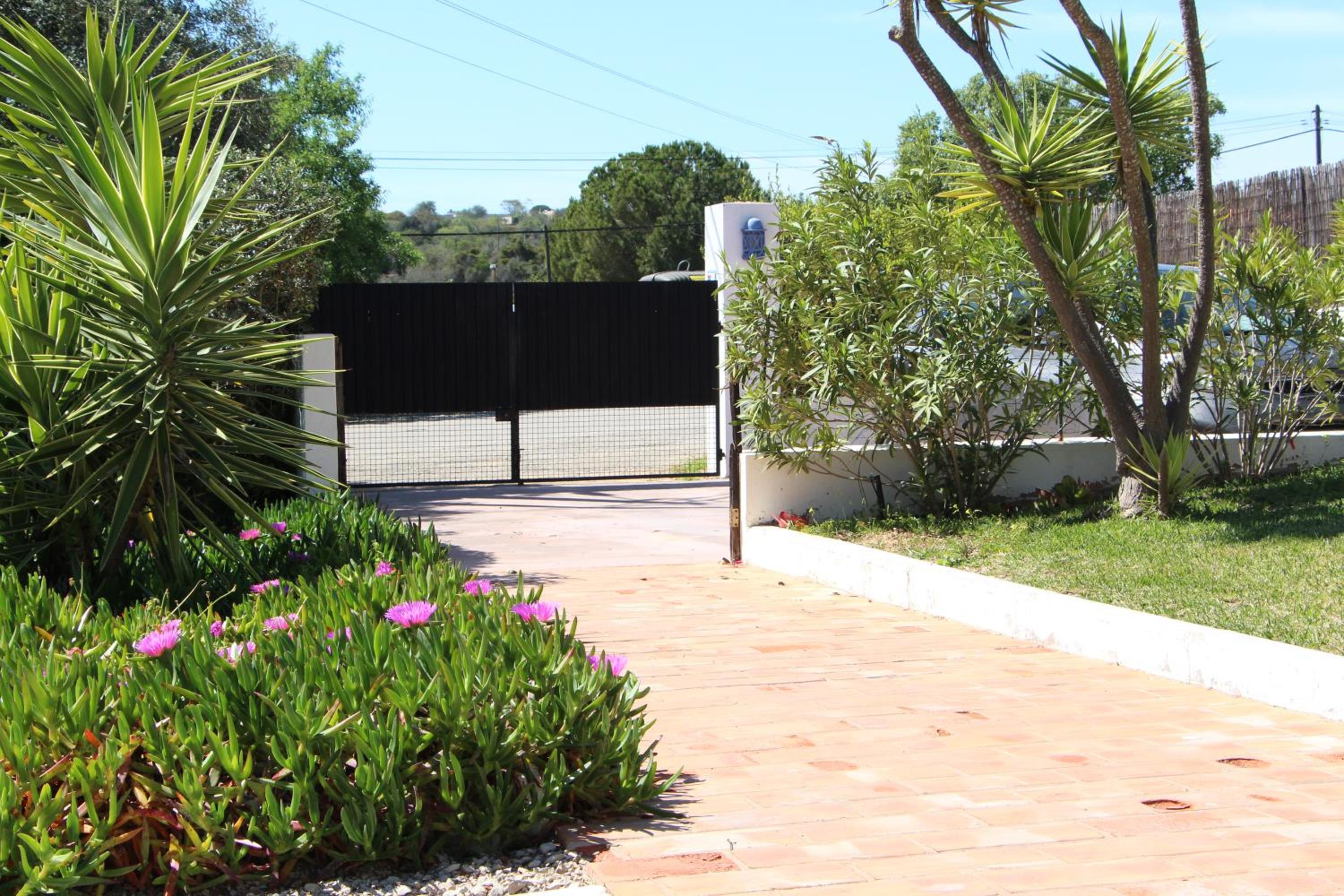 Casa Azul Beach and Peaceful Garden Oasis view 5