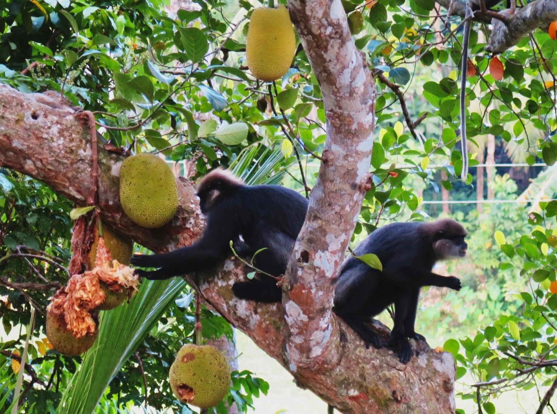 Photo 64