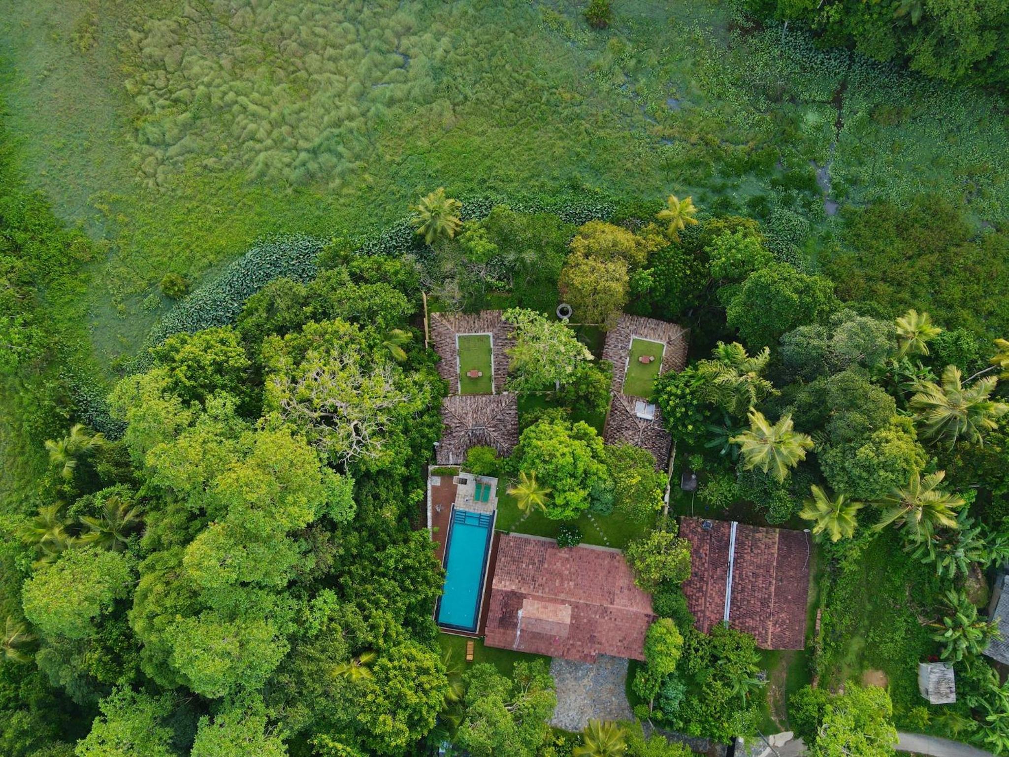 The Jungle Loft Galle view 2