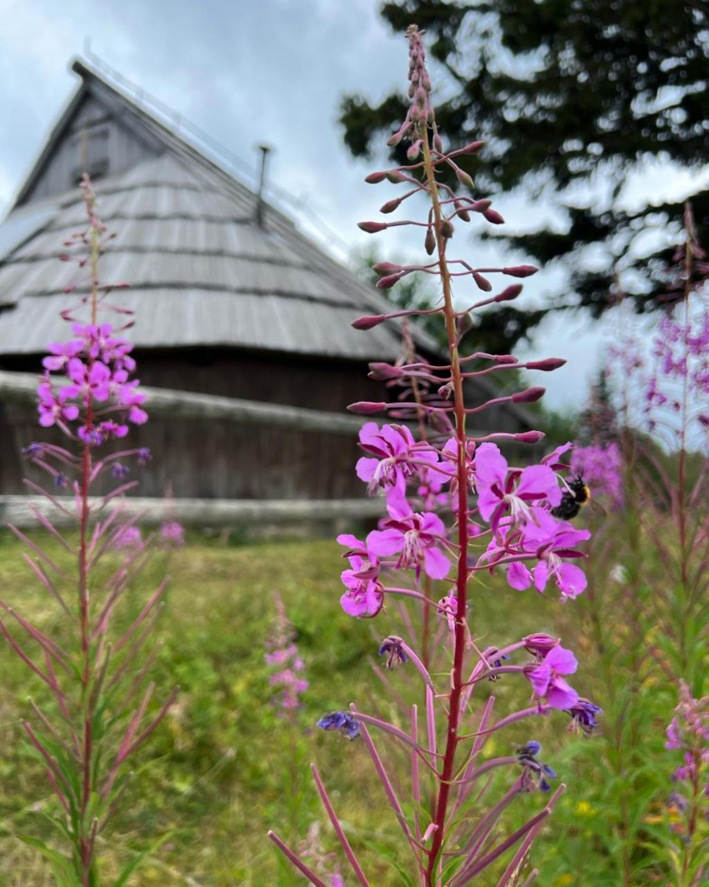 Chalet Korosica Velika Planina