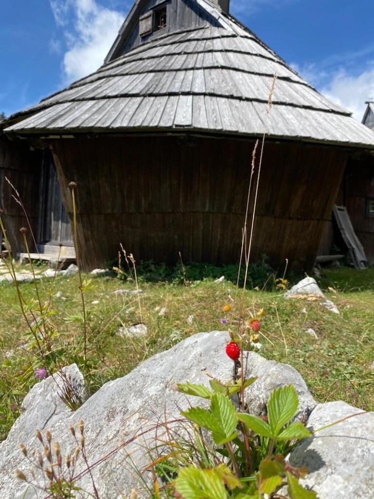 Chalet Korosica Velika Planina