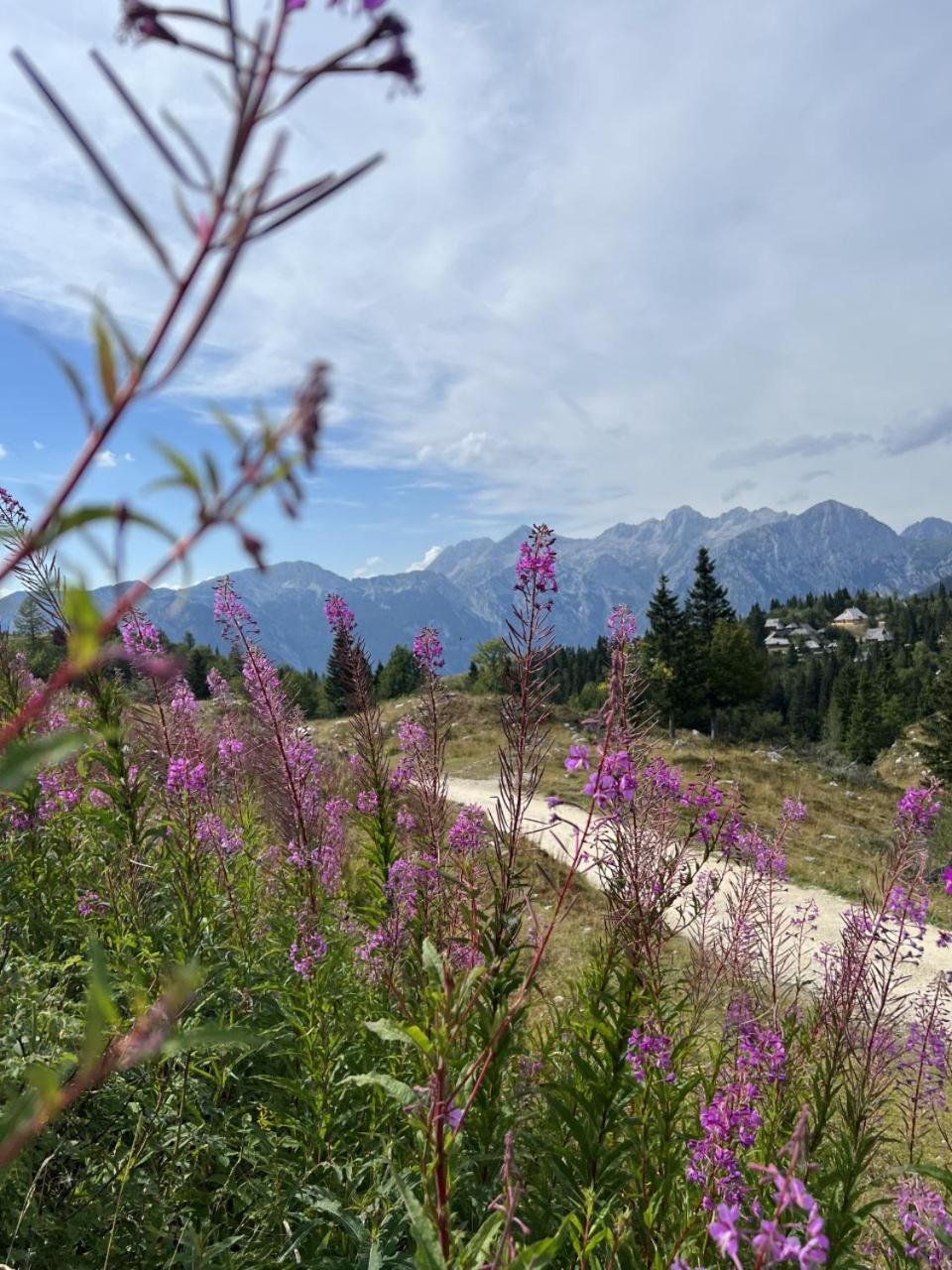 Chalet Korosica Velika Planina