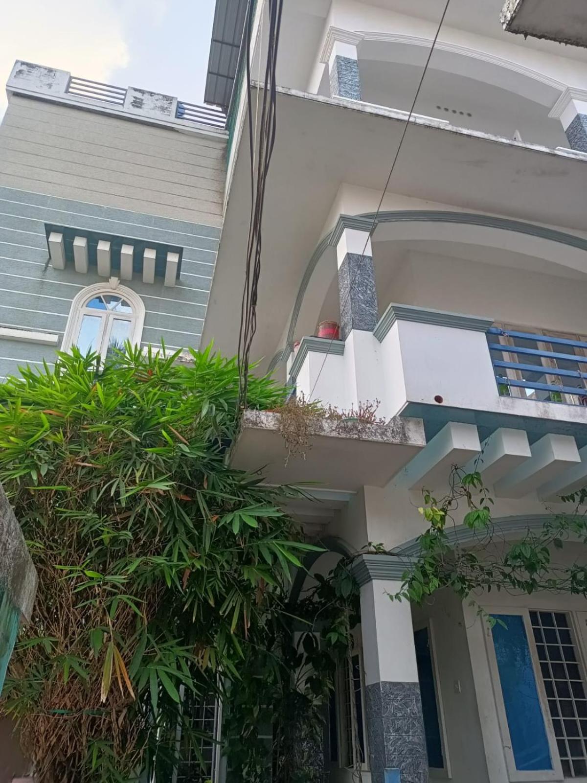 Nest