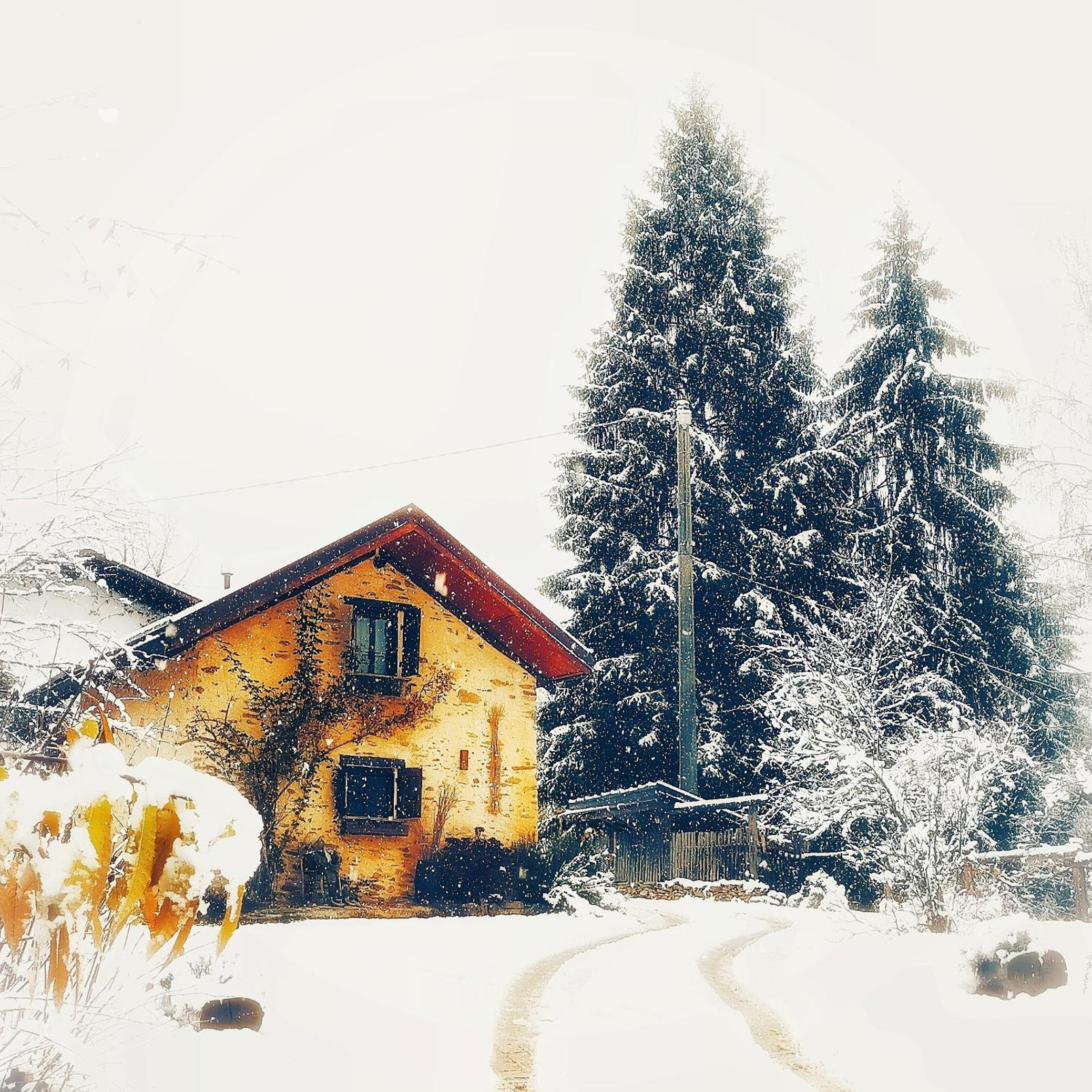 Photo 40