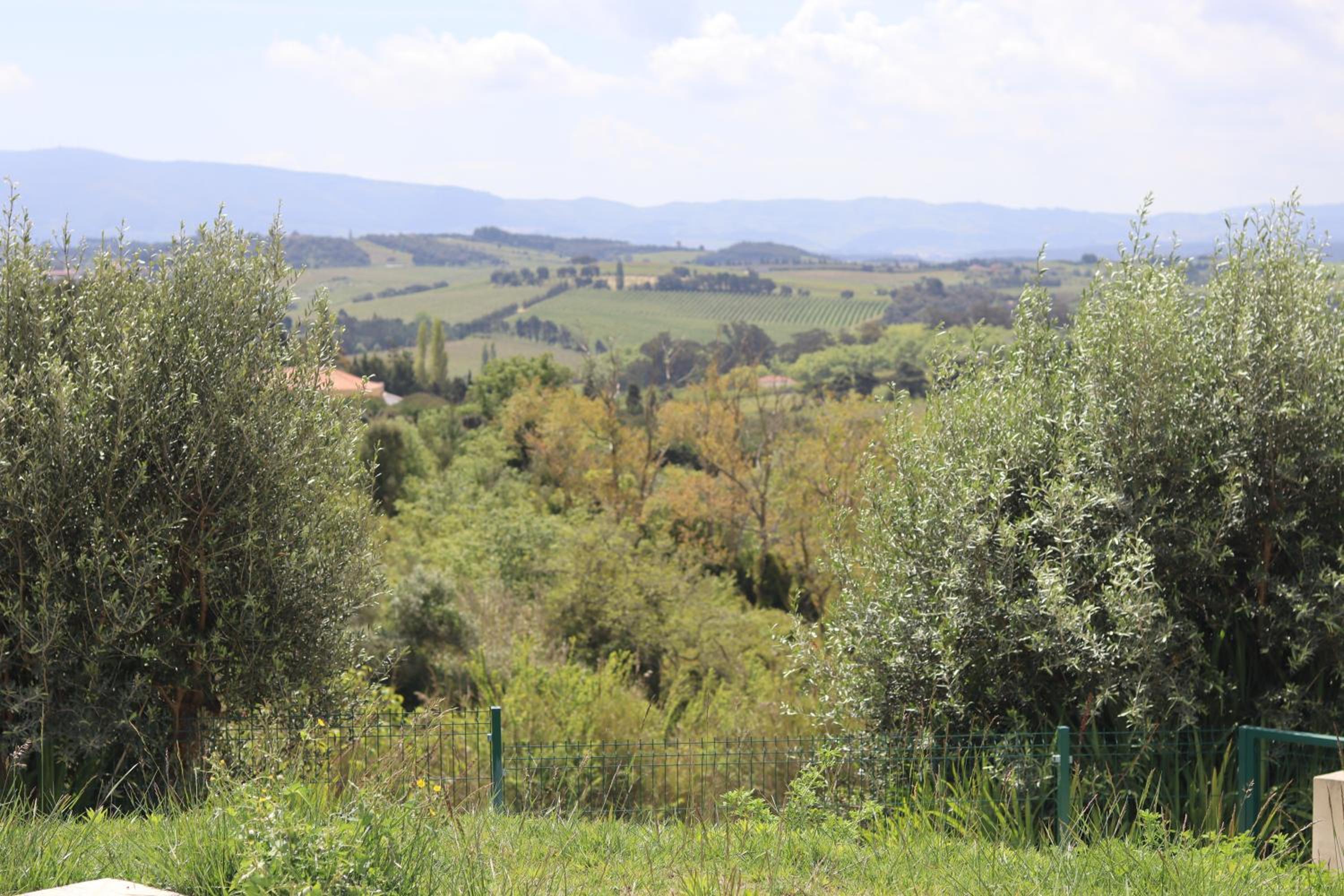 Photo 27