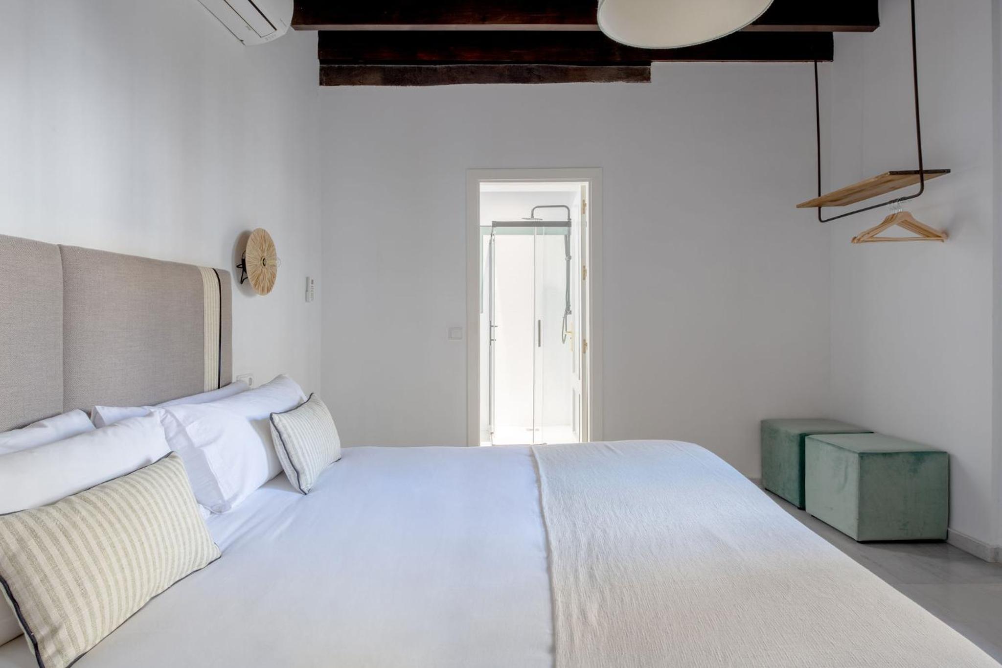 Triana Boutique Apartments by Hommyhome