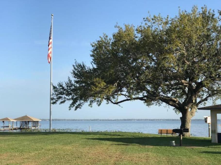 Beautiful Home across the street from Lake June! - Property Image 33