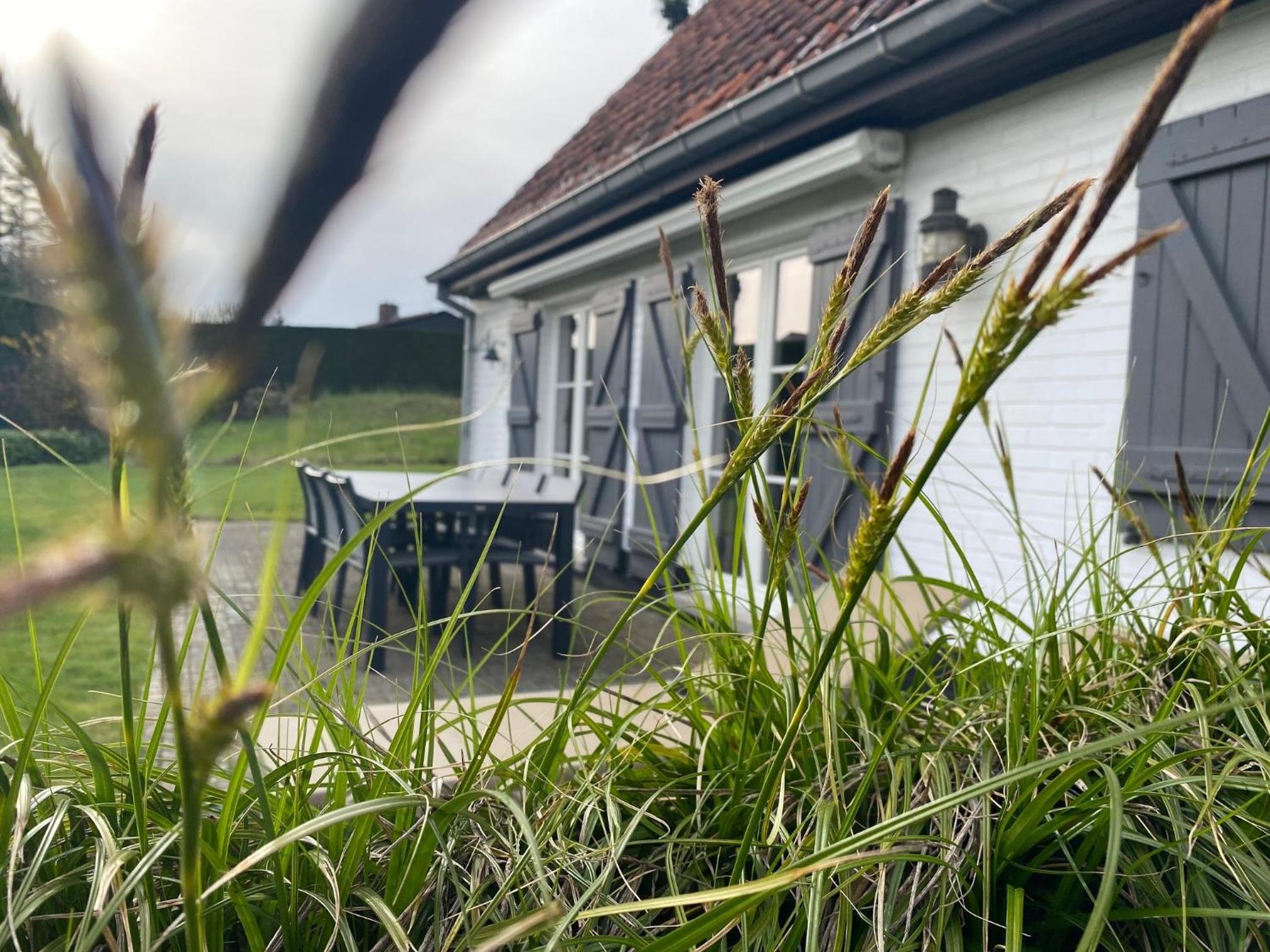 Villa 'T Zeehuysje