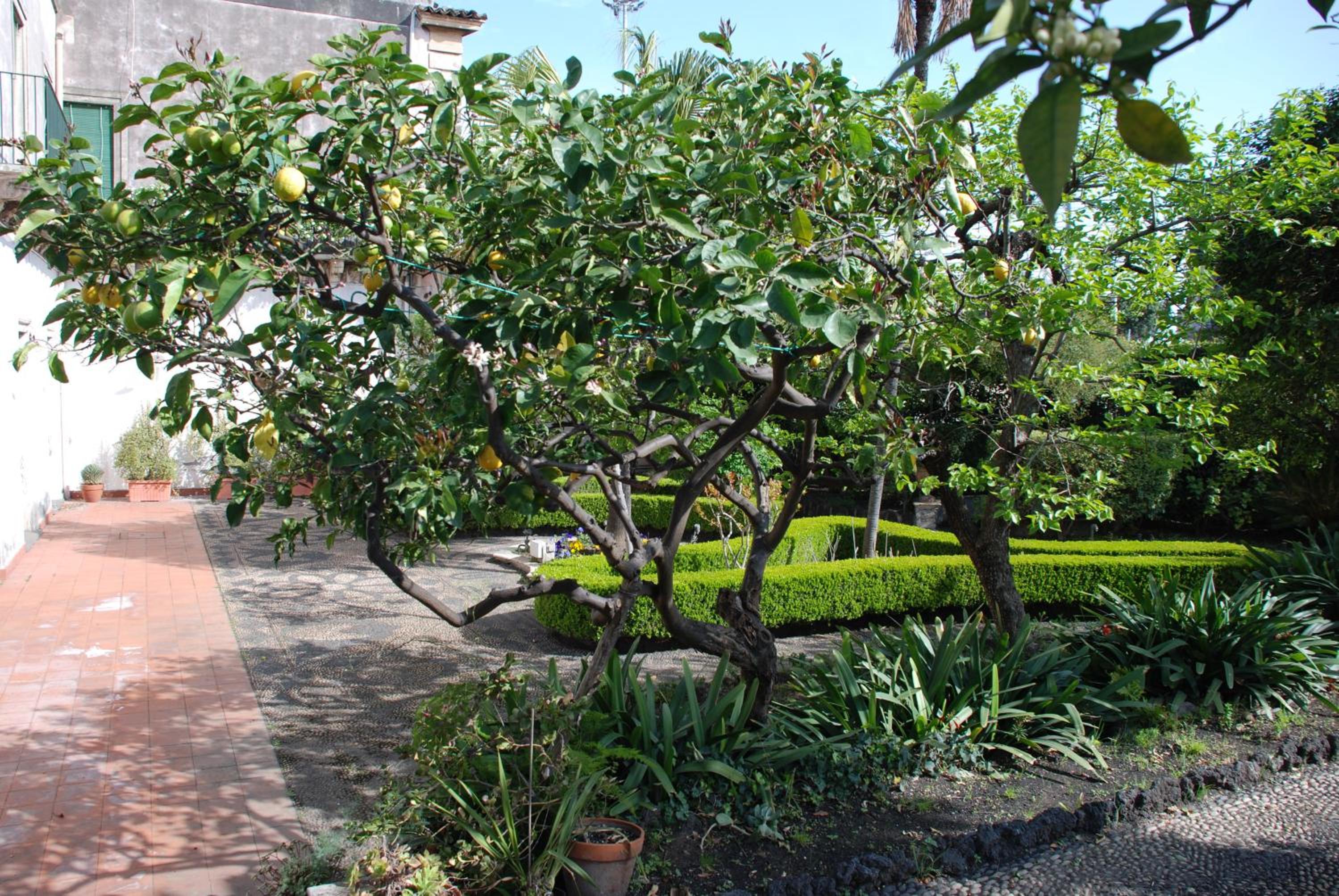 Photo 44