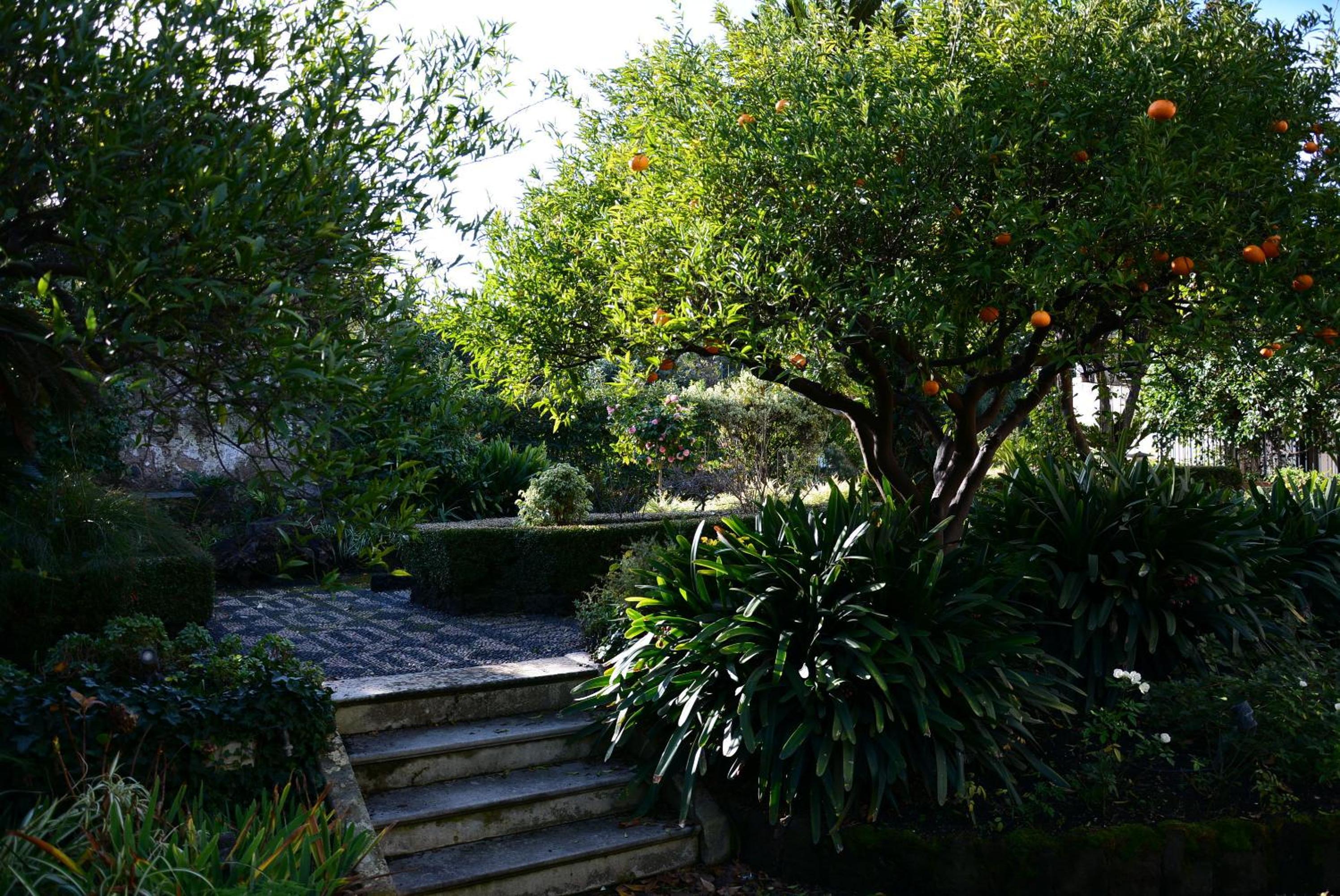 Photo 45