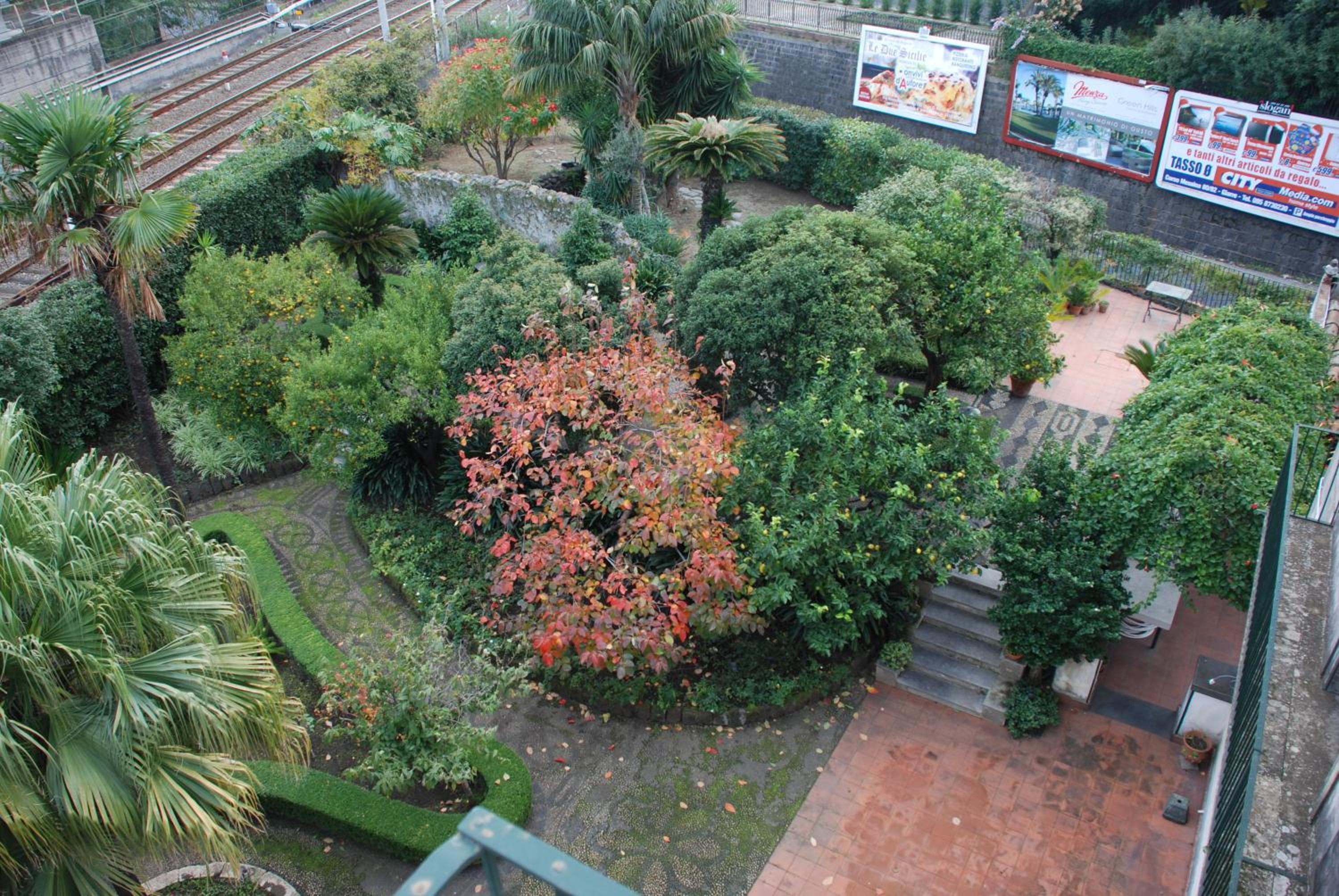 Photo 46