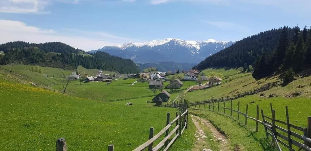 Casa de Sub Munte Cozy Chalet view 3