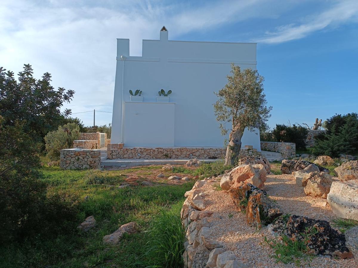 Photo 46
