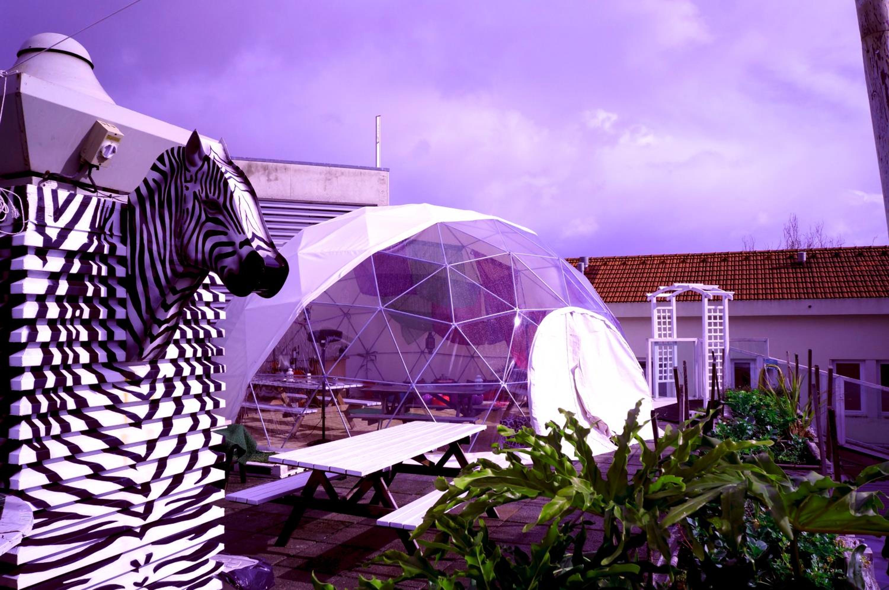 Sunset Destination Hostel