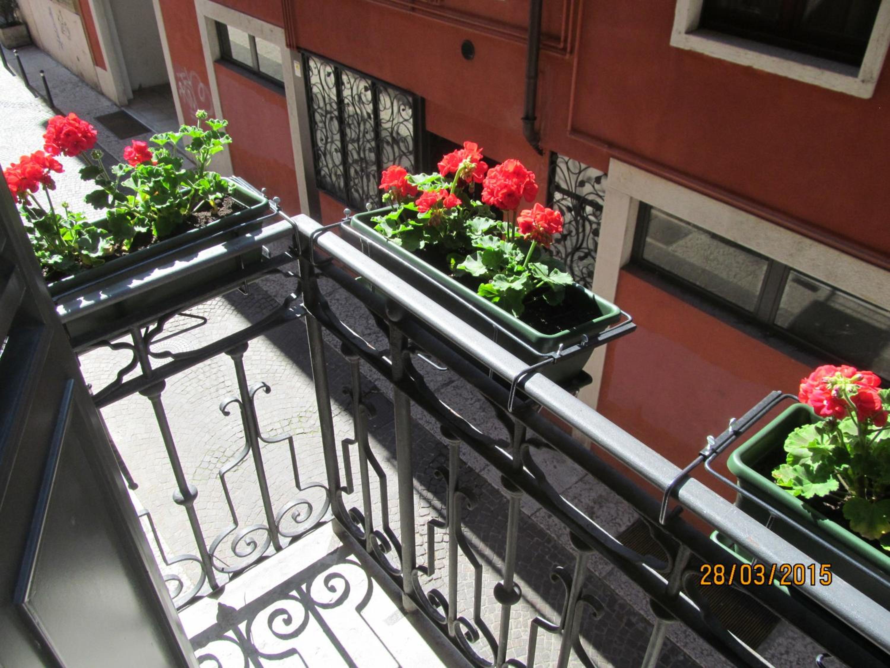Photo 44