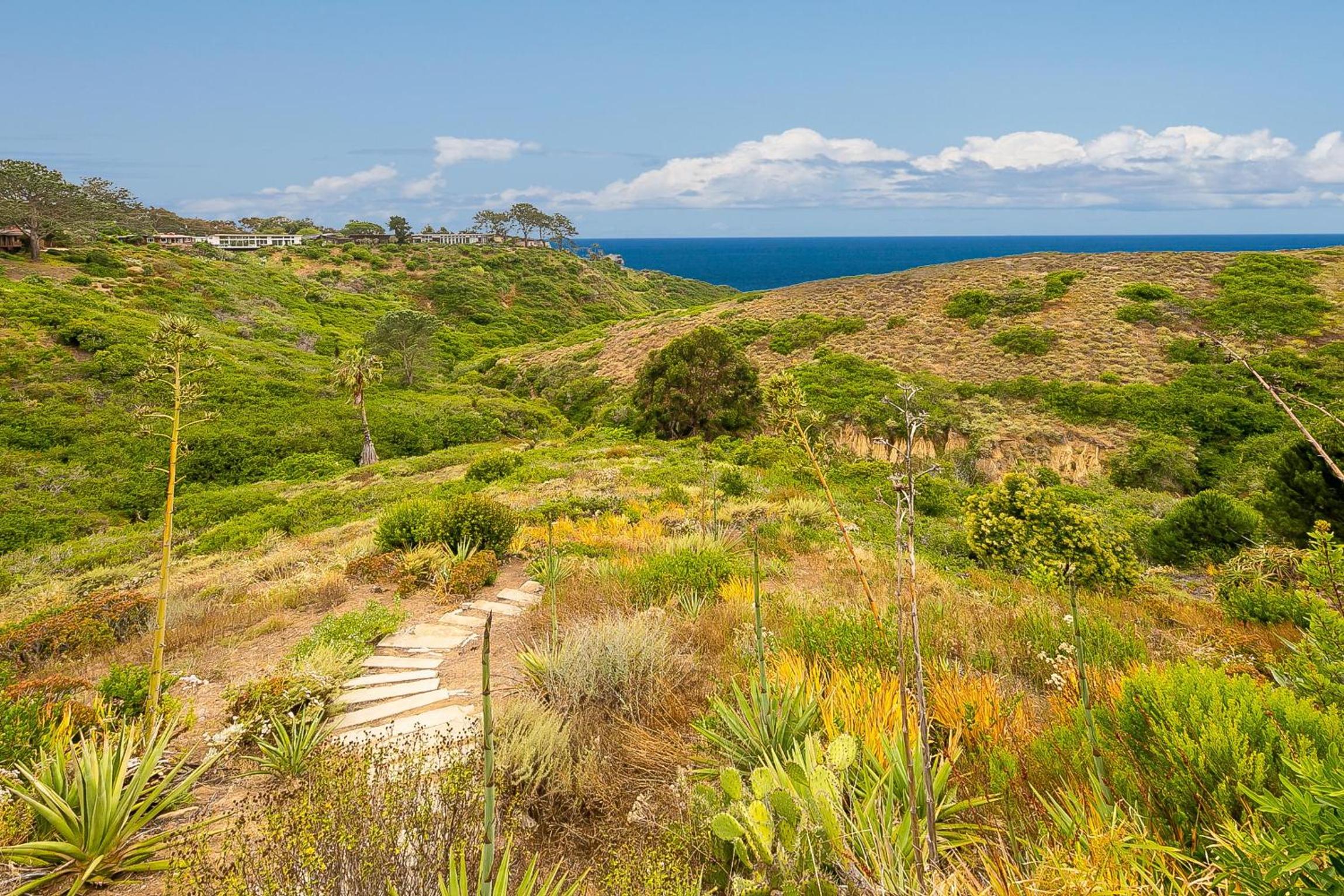 La Jolla Lookout view 5