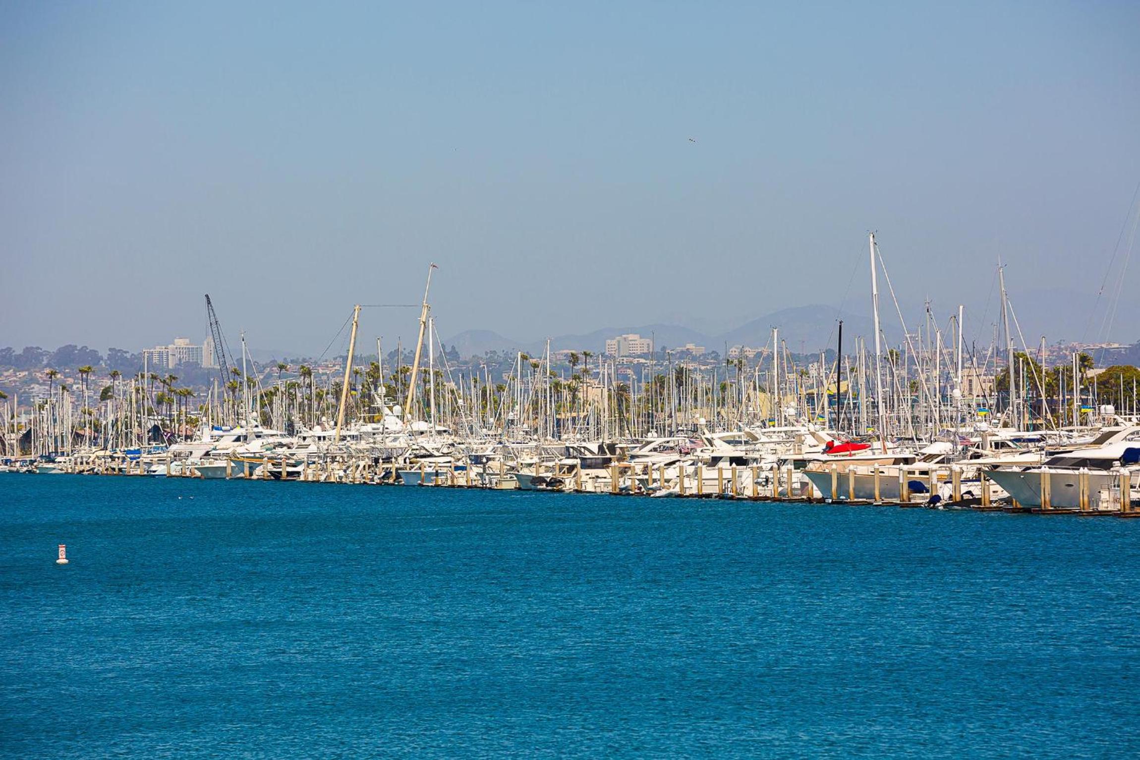 Photo 44