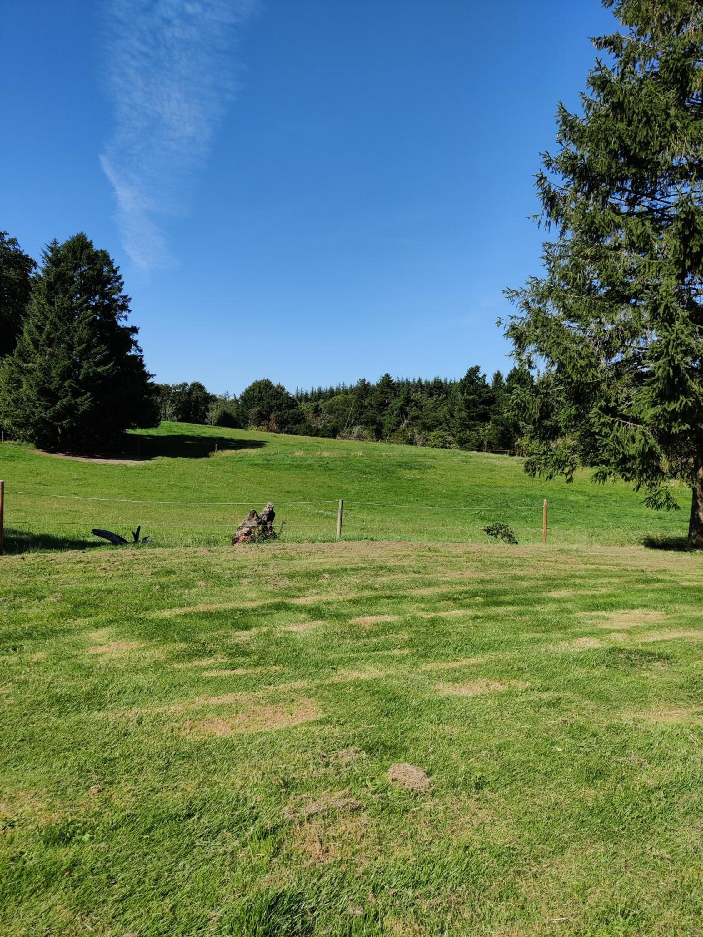 Rosengård