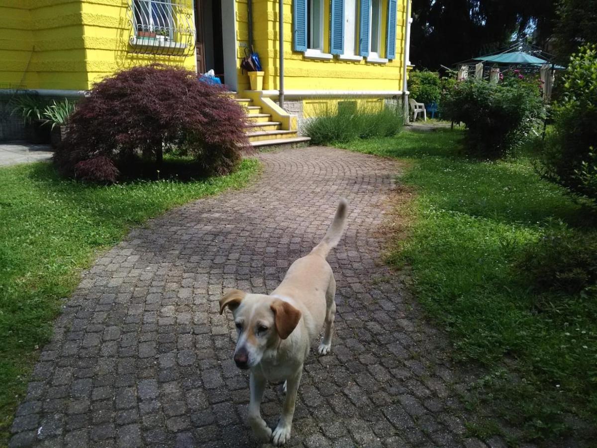 Photo 18