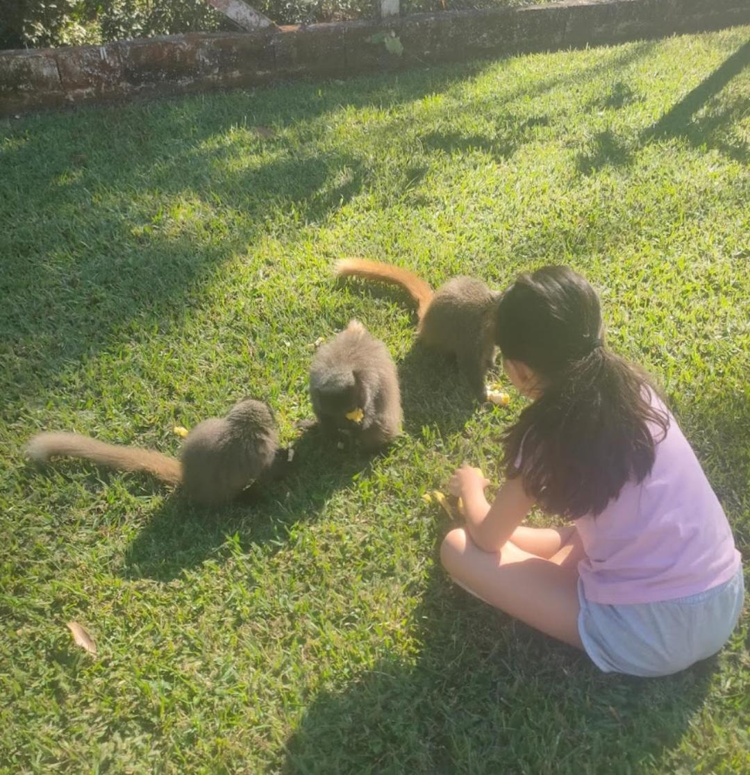 Chácara Sonho Meu