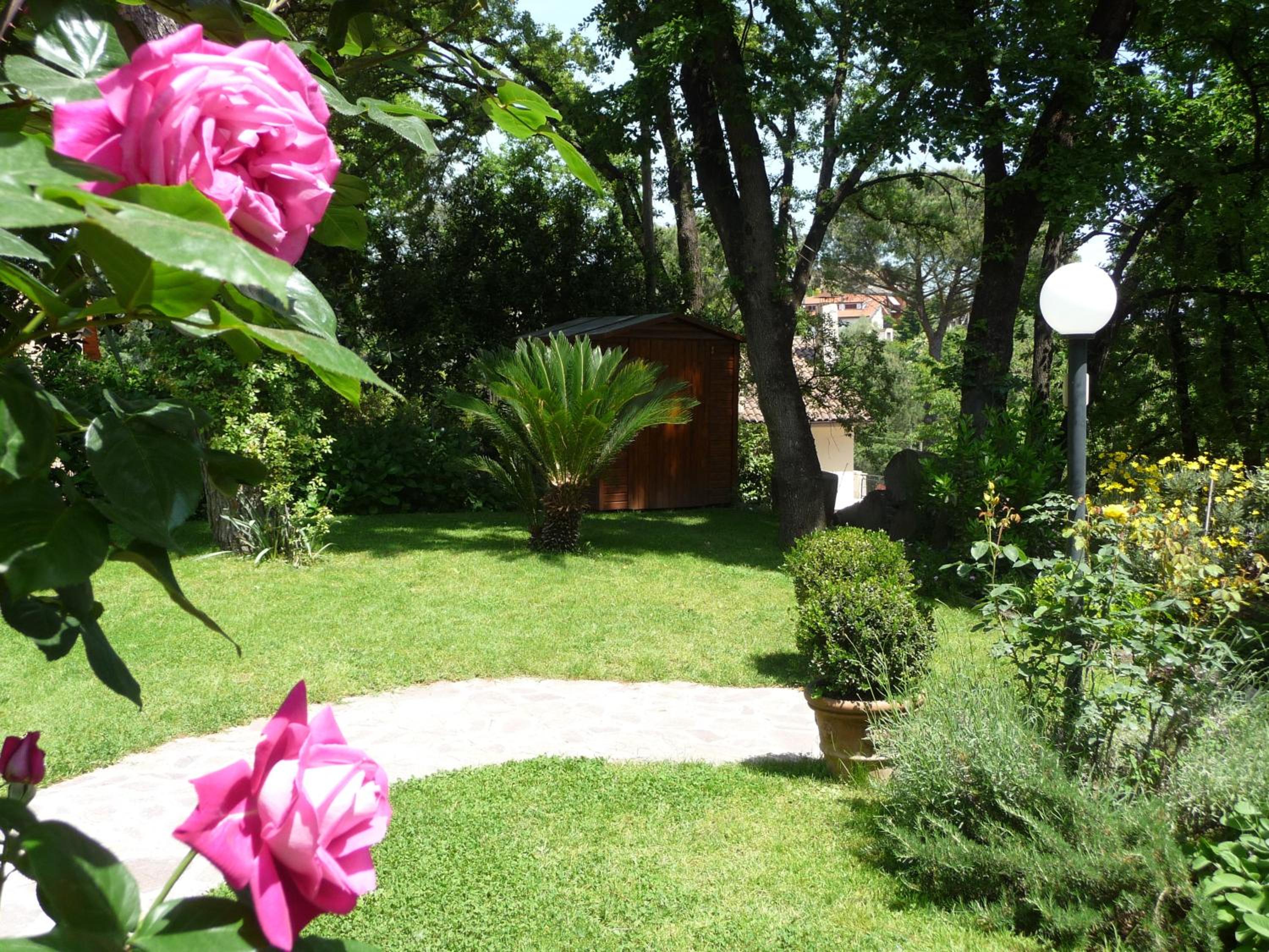 Deliziosa Villa alle porte di Roma view 4