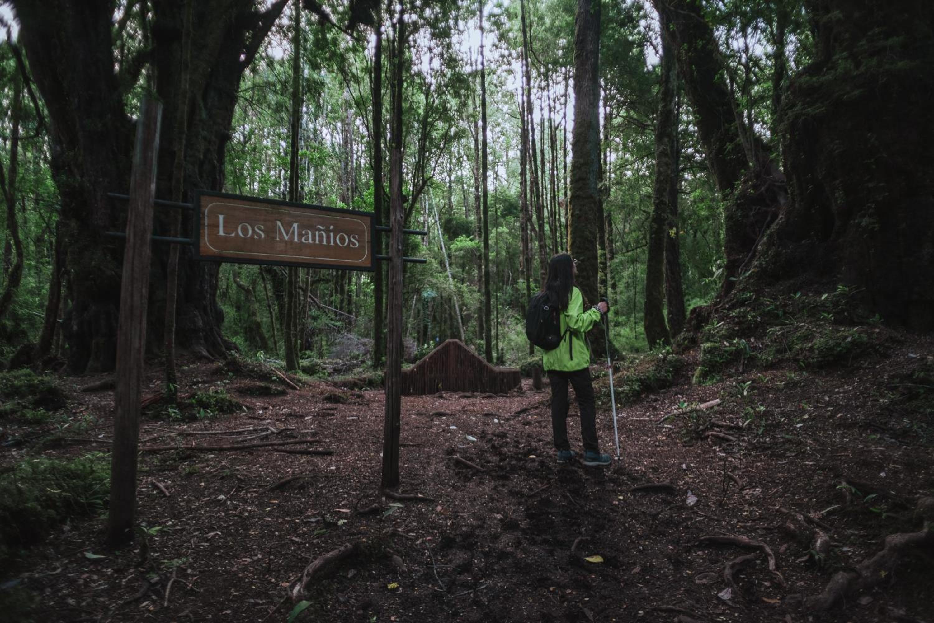 Lodge Parque Tepuhueico