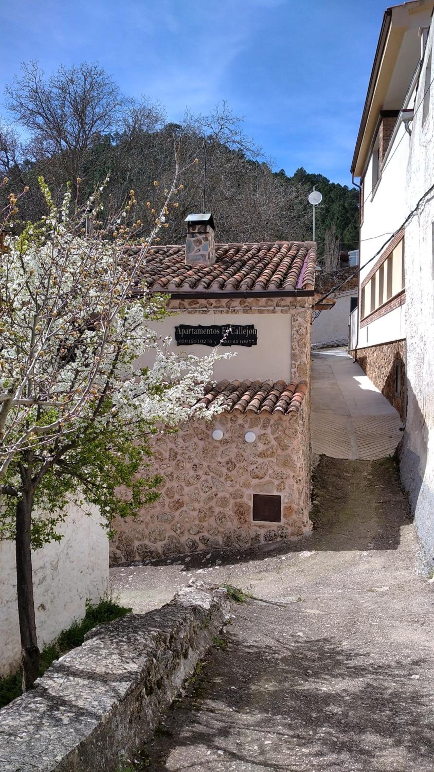 Apartamentos El Callejón view 5