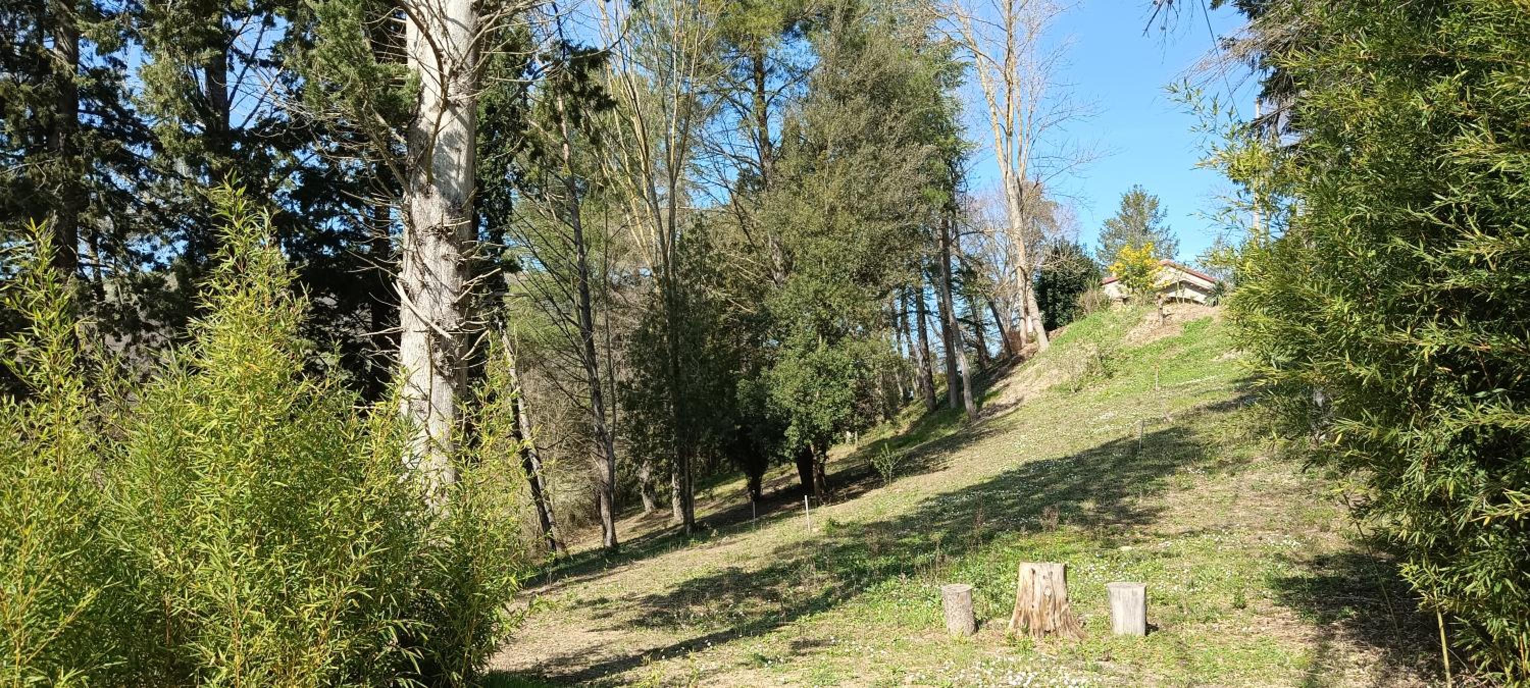 Photo 28