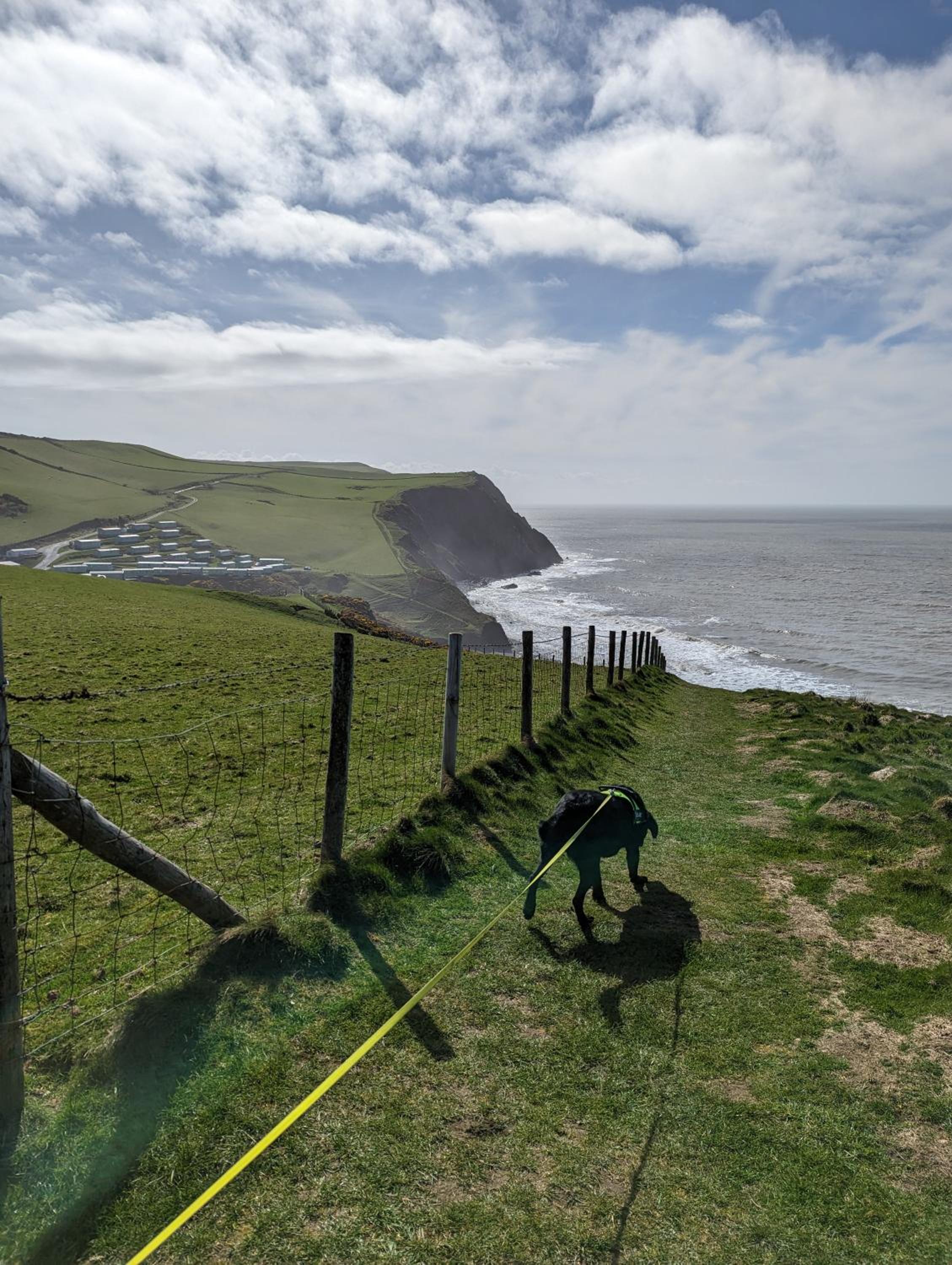 Peacehaven, Ynyslas, Borth