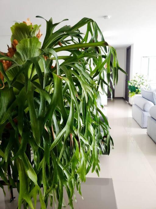 Penthouse Lujo Itagui 40 Piso Vista Panoramica Jacuzzi Sauna Largo Plazo