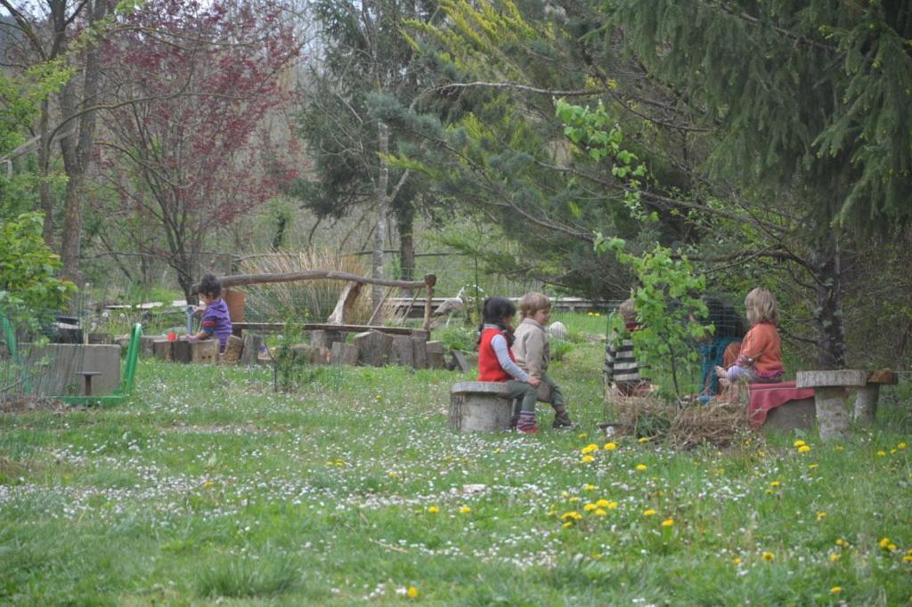 Photo 41