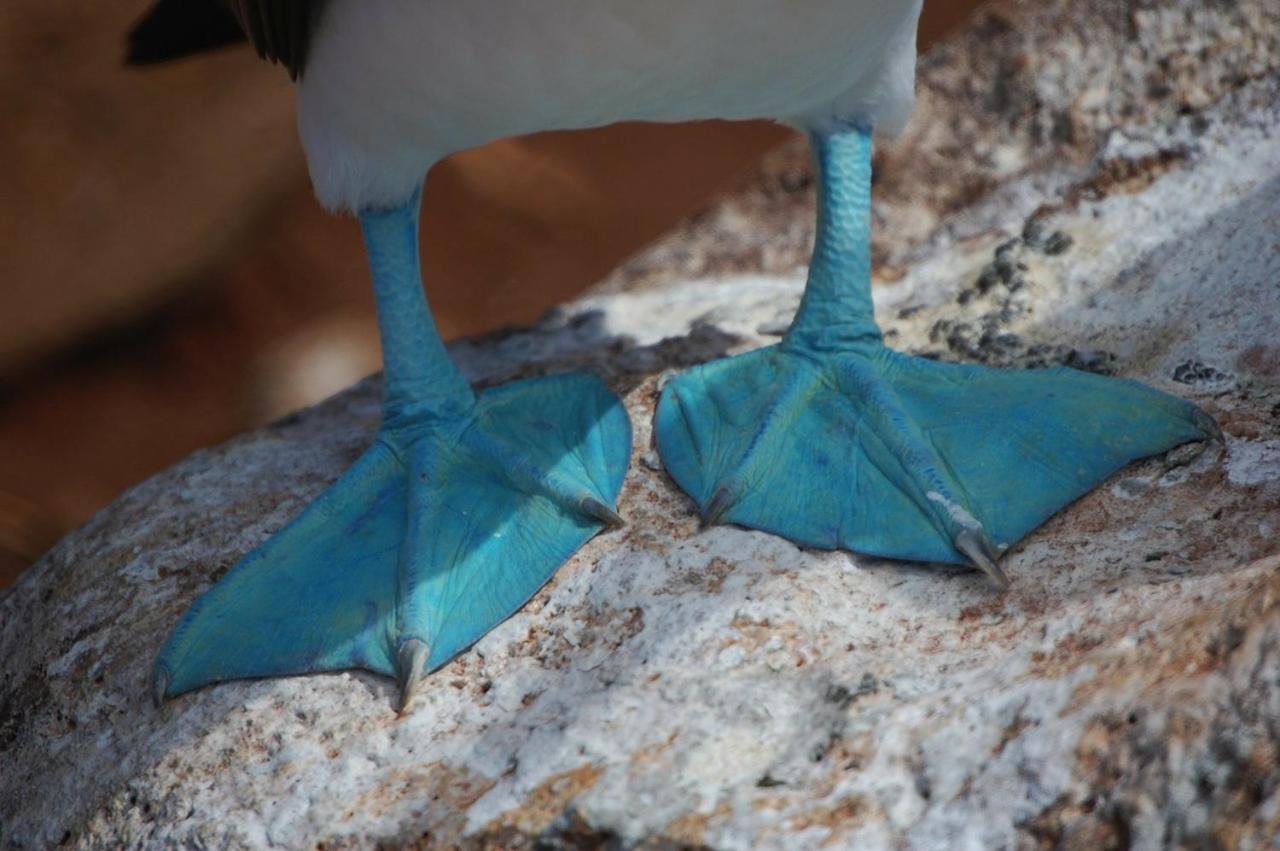 Enchanted Galapagos Lodge