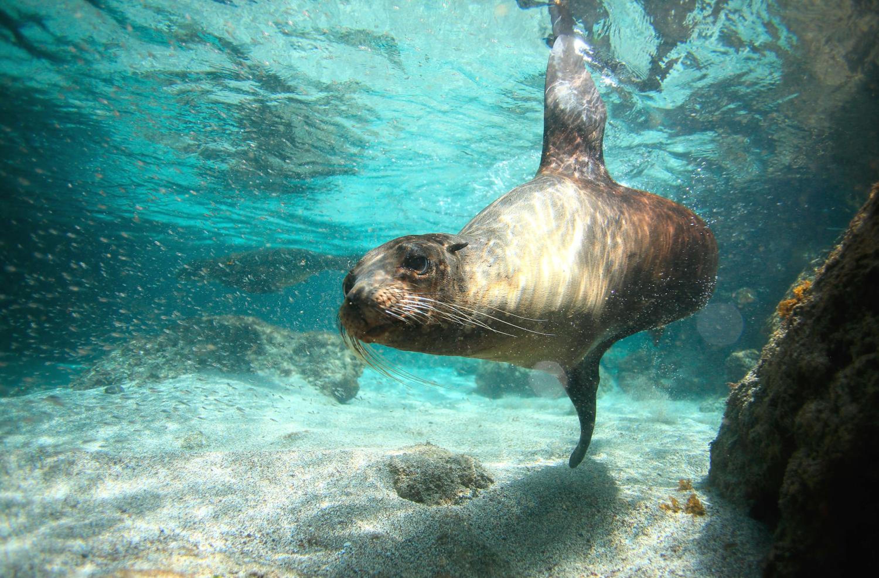 Enchanted Galapagos Lodge