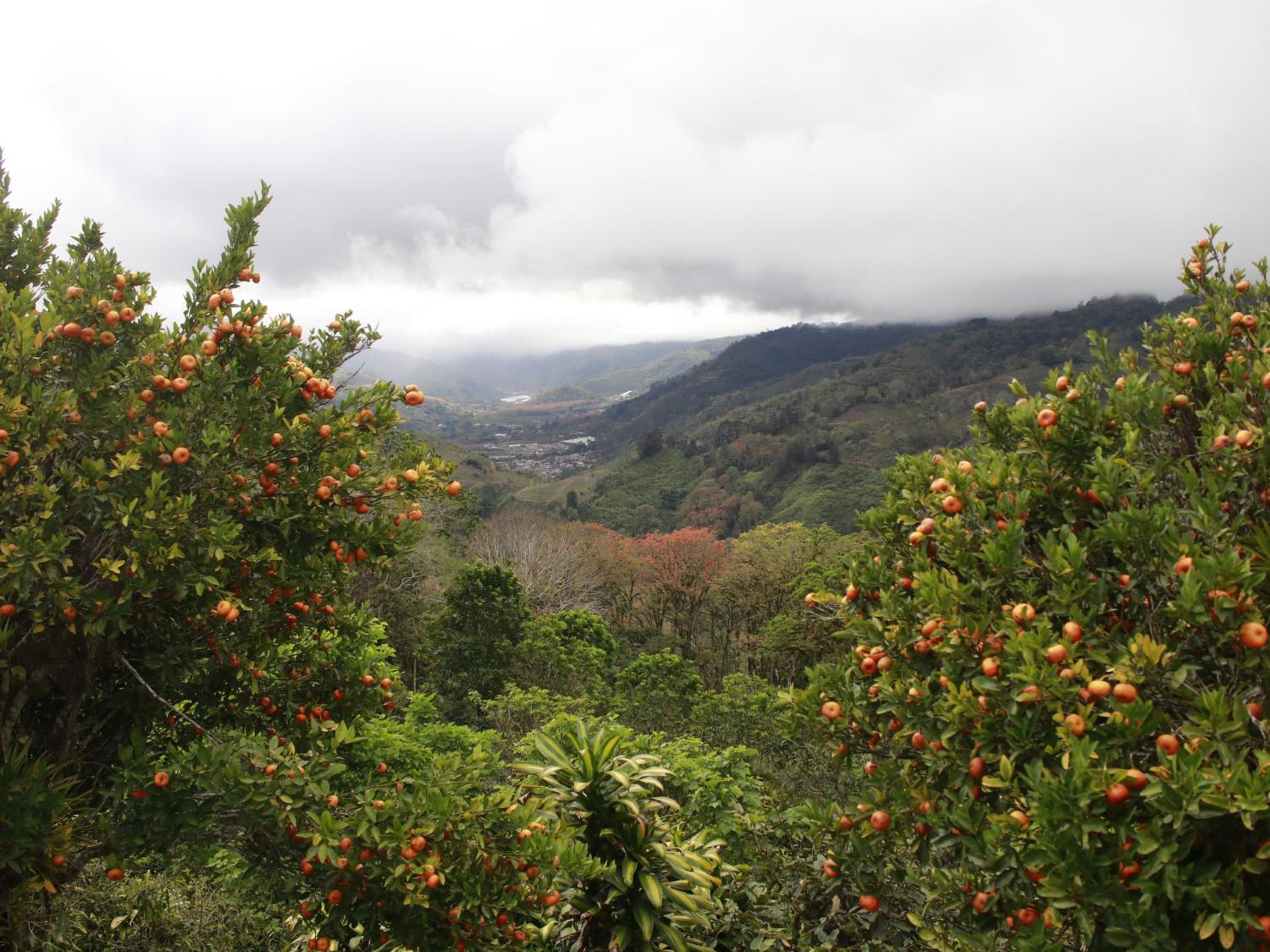Casa Bartzis, Close to Orosi and Tapanti National Park