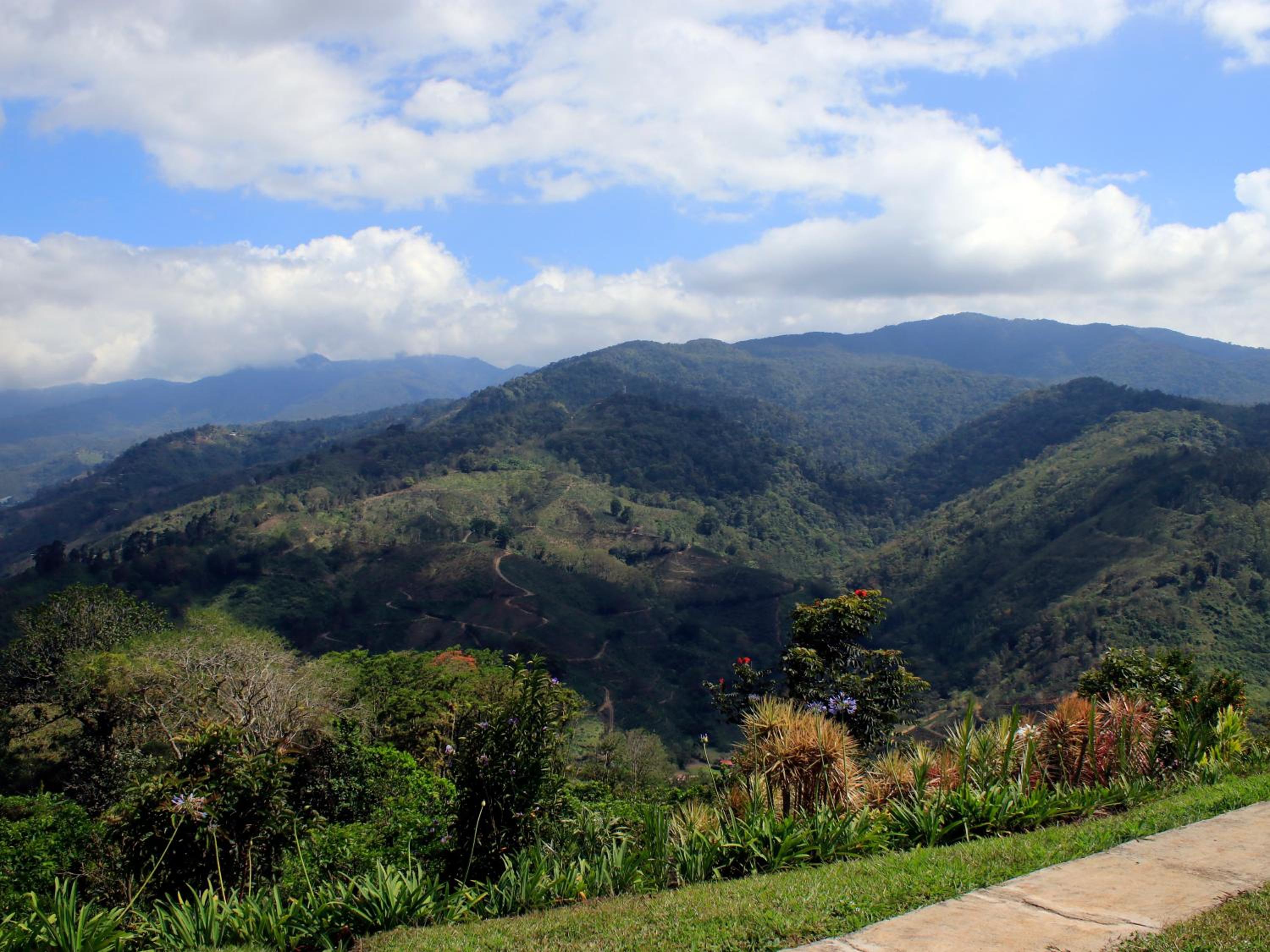 Casa Bartzis, Close to Orosi and Tapanti National Park