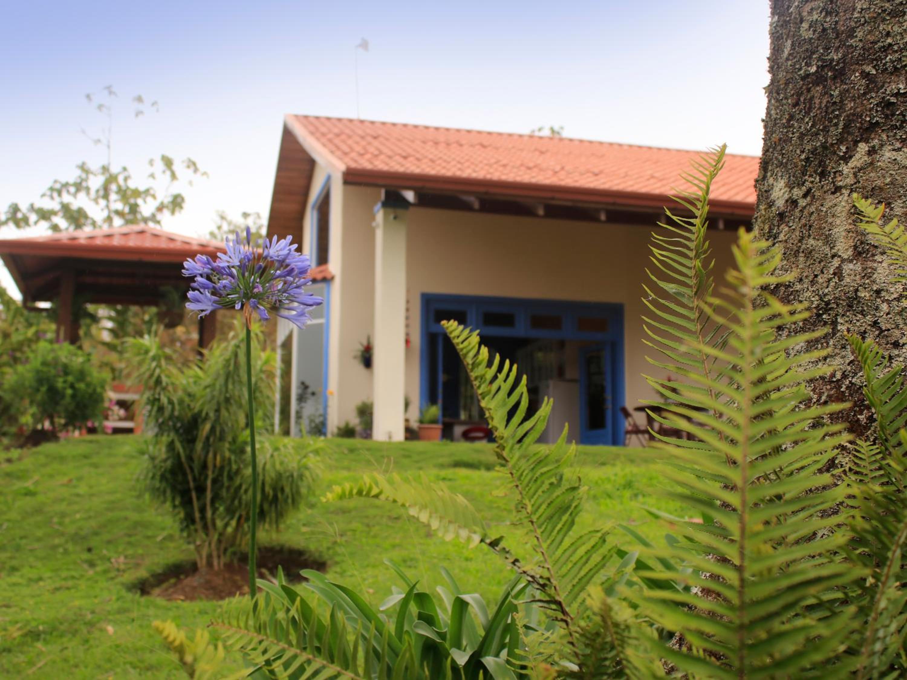 Casa Bartzis, Close to Orosi and Tapanti National Park