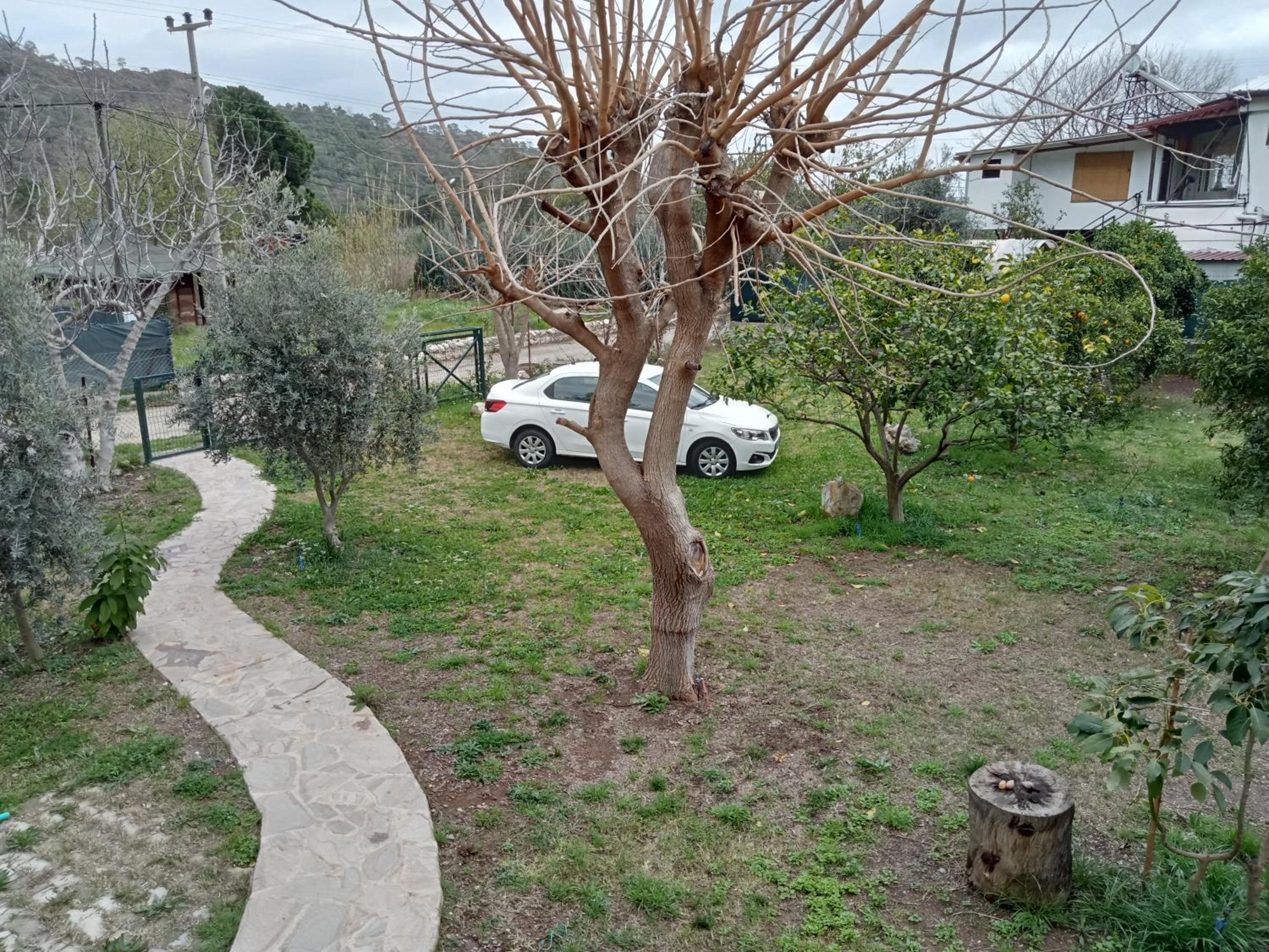 Photo 26
