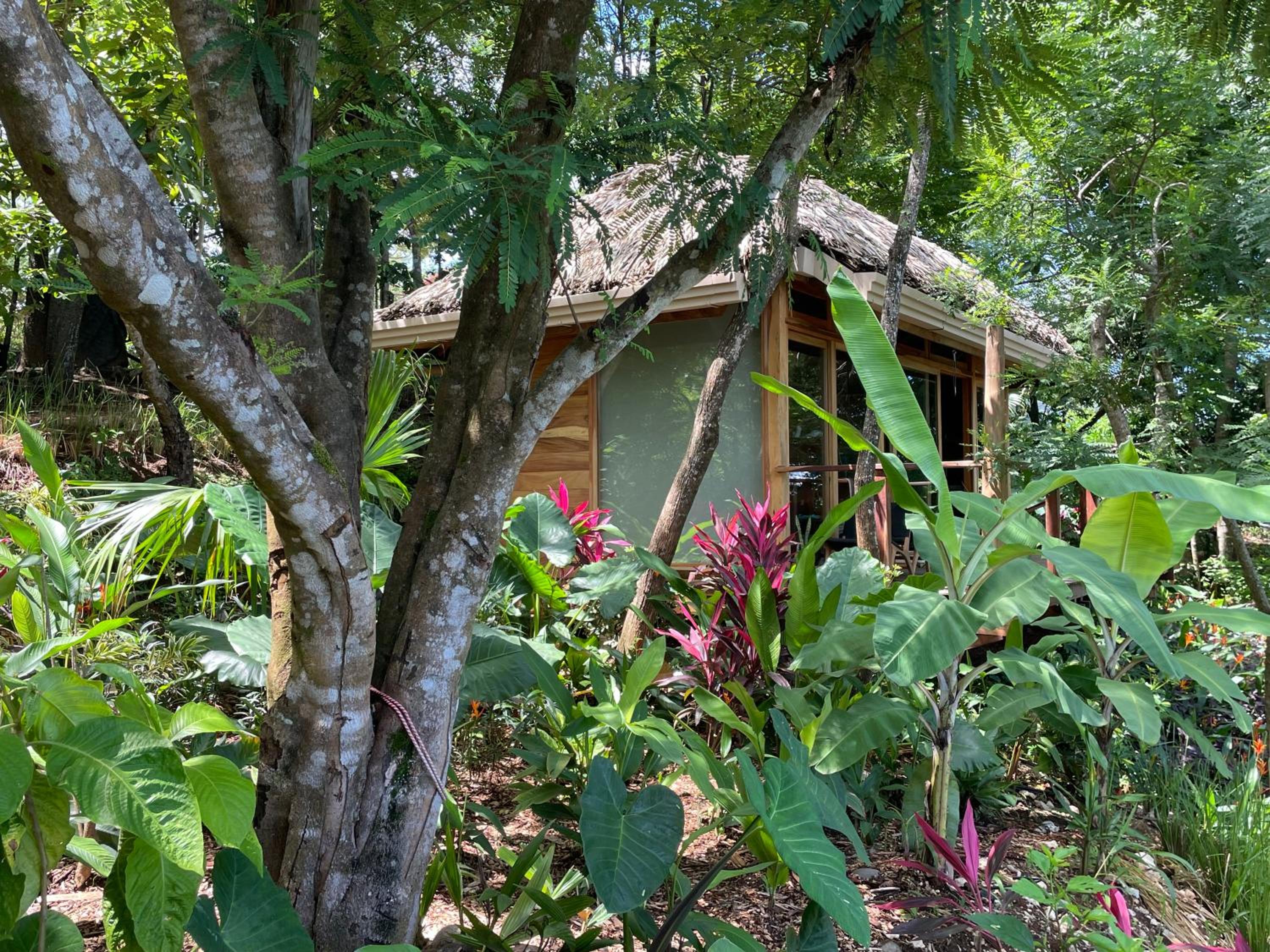 Tierra Encantada Wellness Center