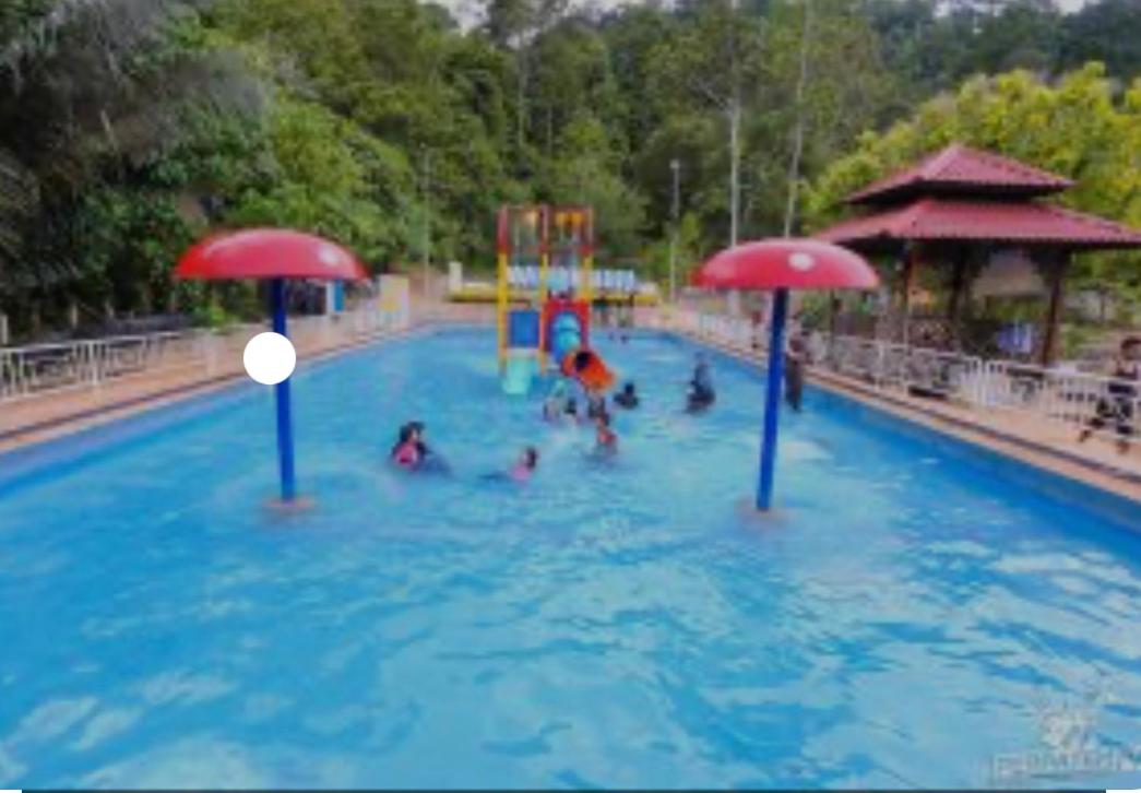 Forest Reserve’s House photo 7