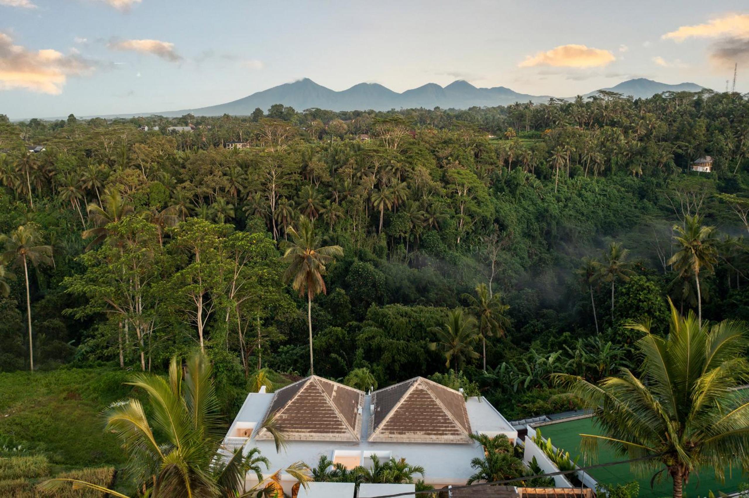 Villa Amorgos I, Ubud view 2
