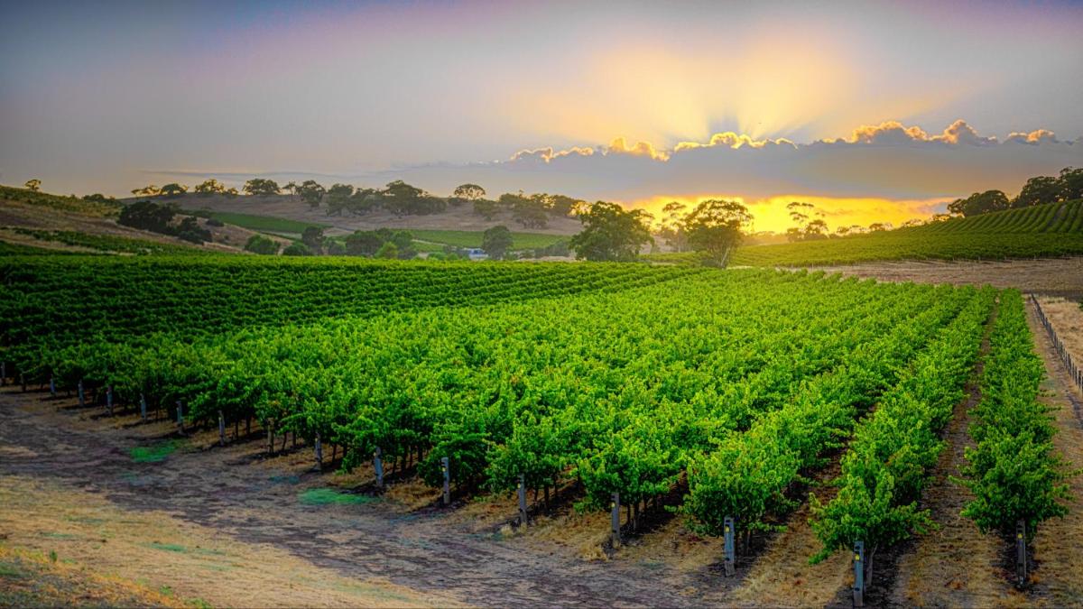 Triple Creek Guest House - Barossa Region
